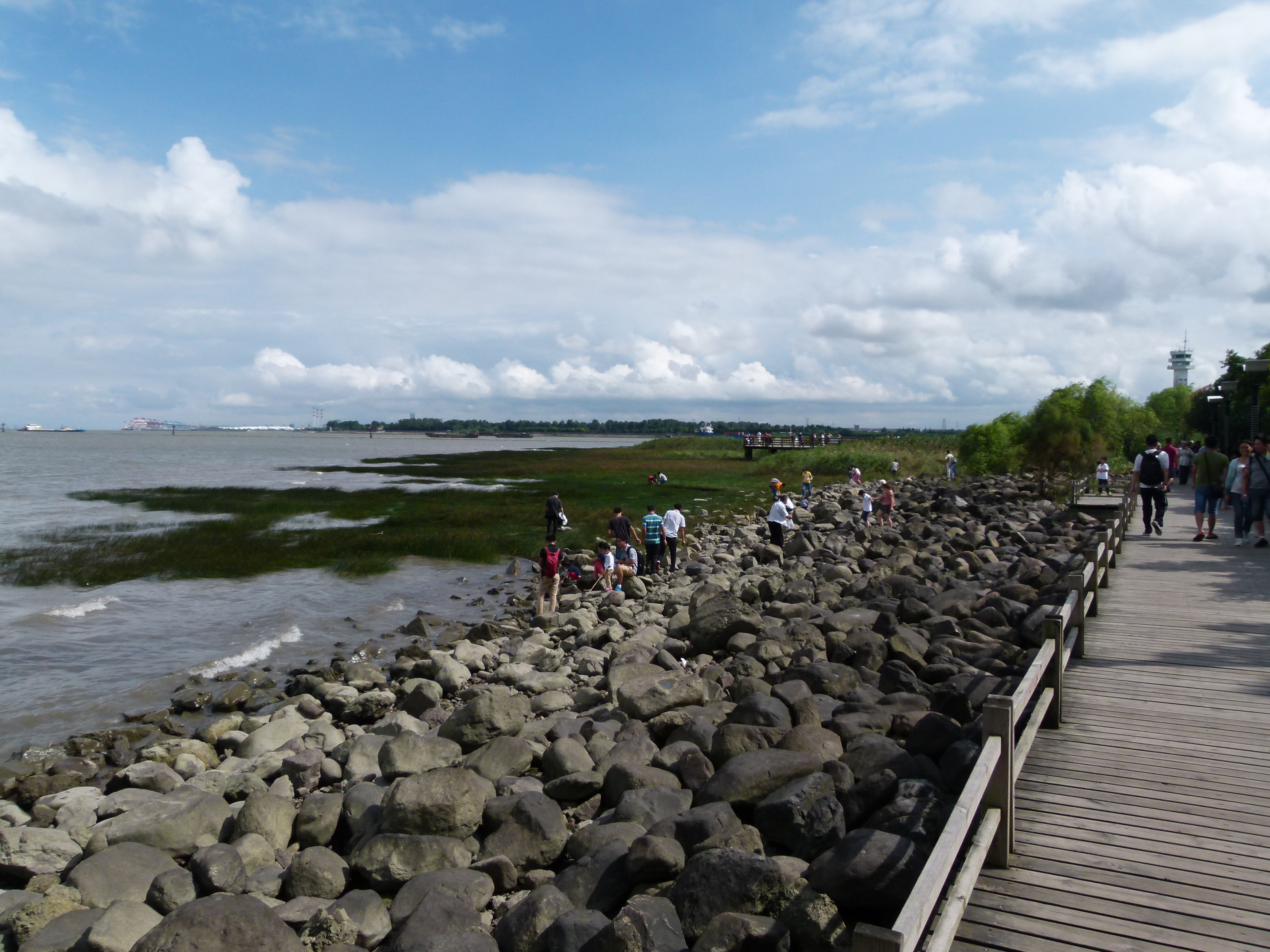 初秋的悠閒-上海吳淞炮臺灣溼地森林公園