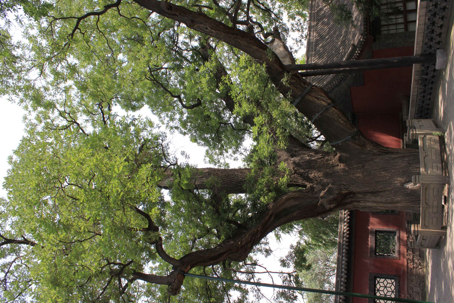 将自驾进行到底—带着父母去旅行(天津出发至晋祠,云