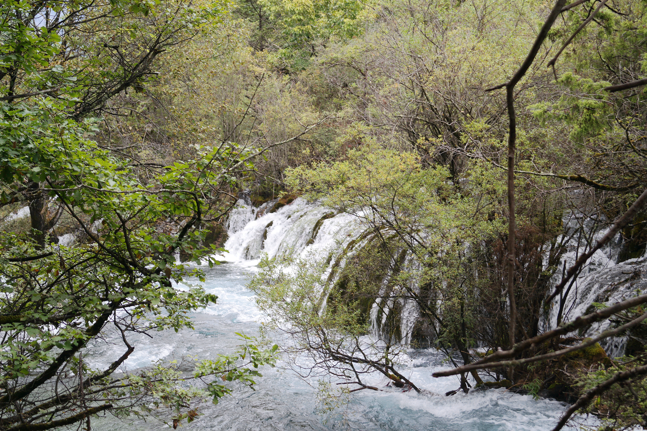 都江堰 青城山 九寨溝-寫意山水行