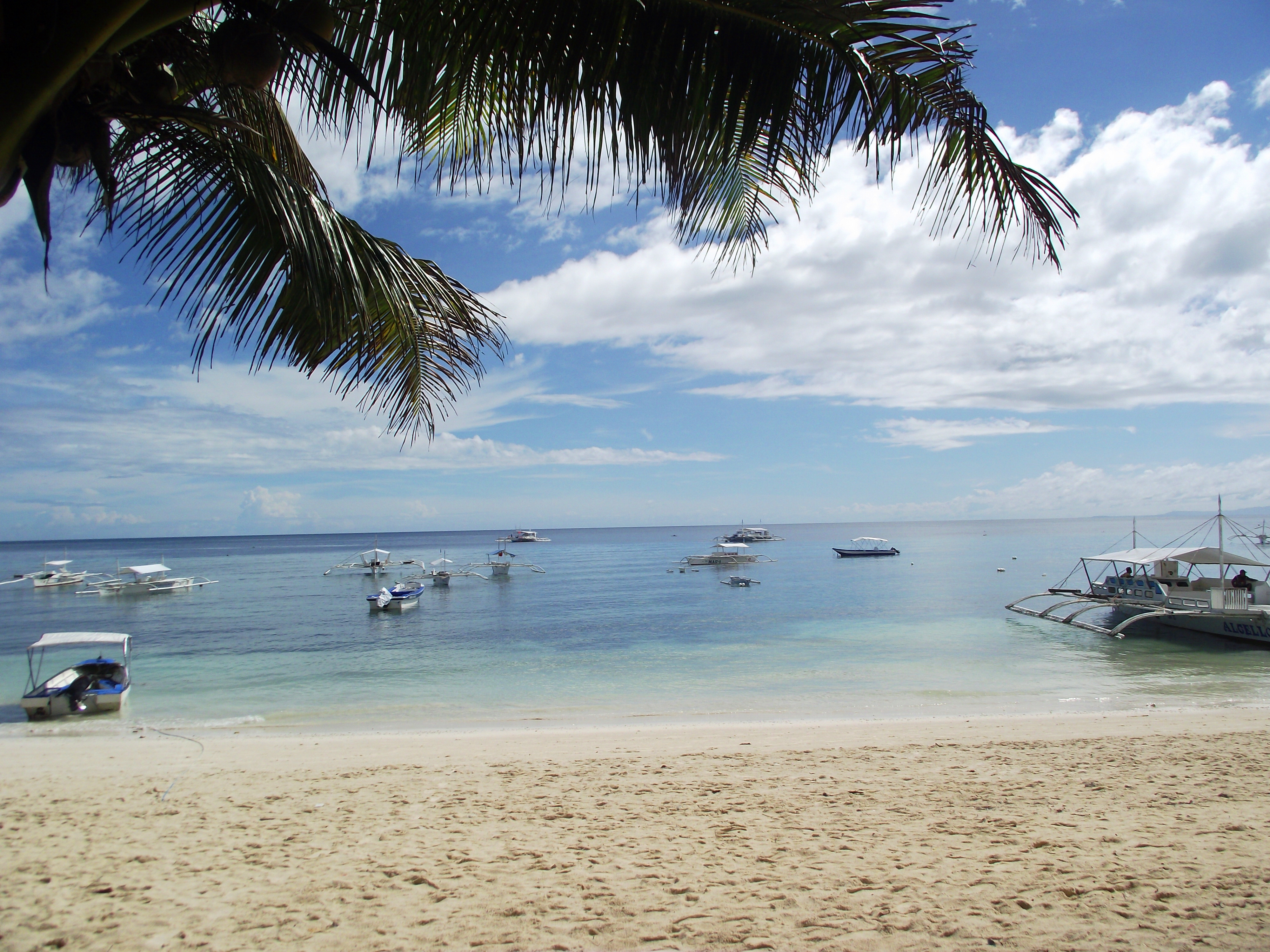 韦金勇:4天4000元用英文9单词细游菲律宾宿务,薄荷,长滩等9岛6城镇