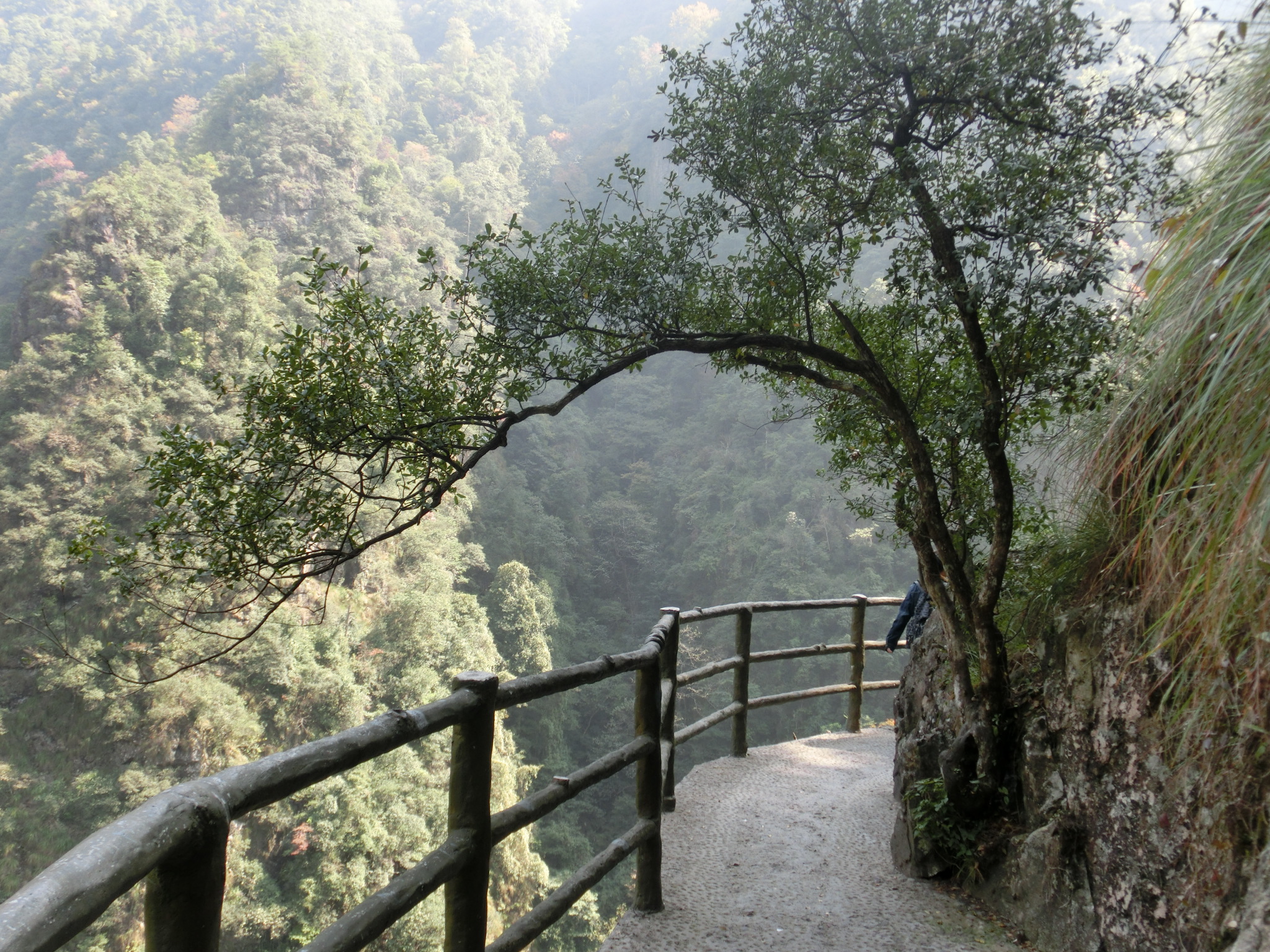 牛頭山國家森林公園