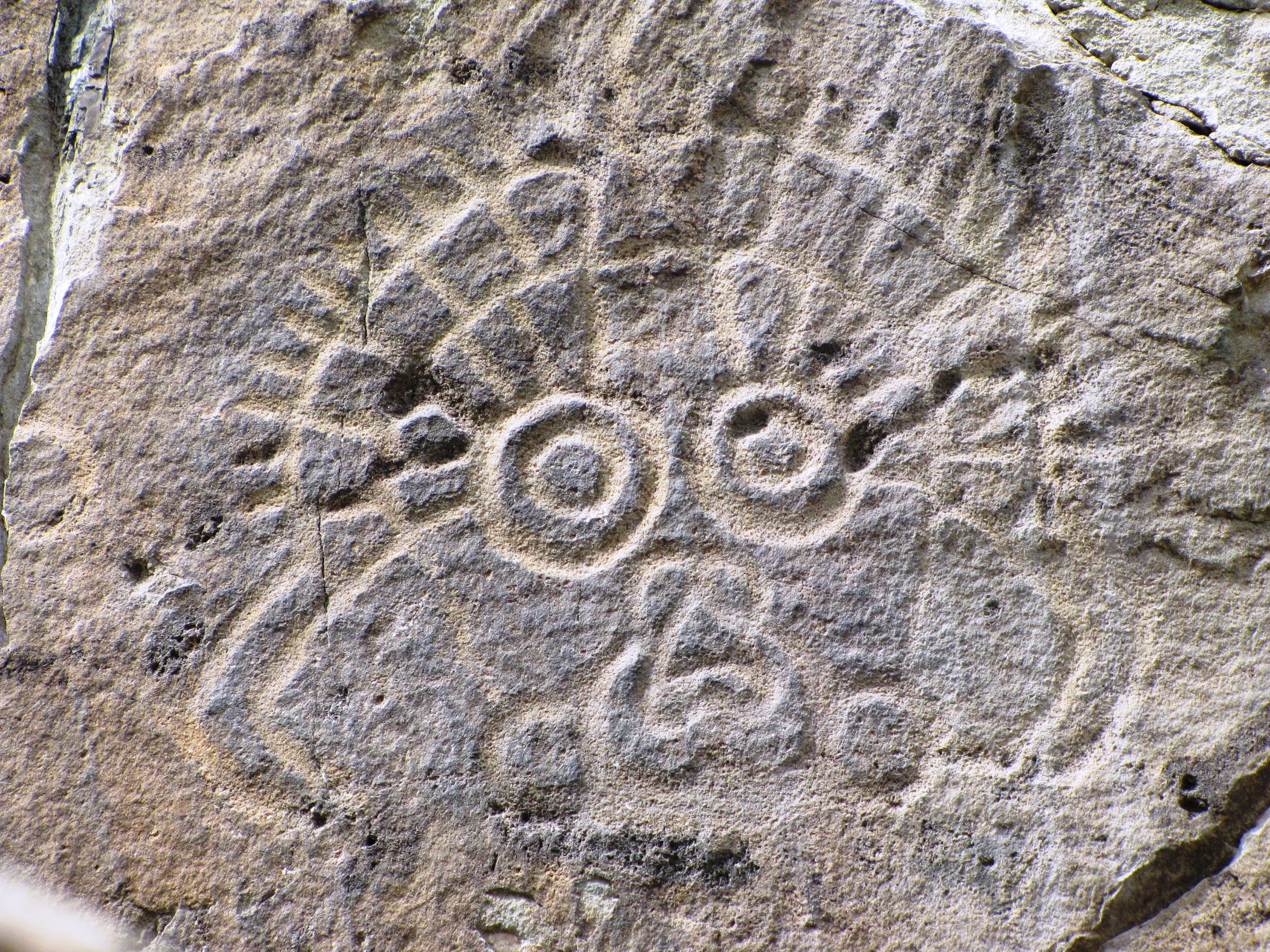 我所搜集的贺兰山岩画