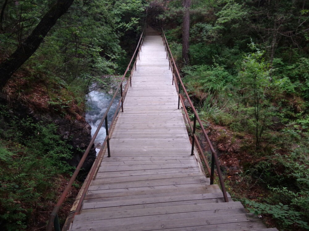 這是徒步路上的棧道,過橋,老鳥,看樹,一個人