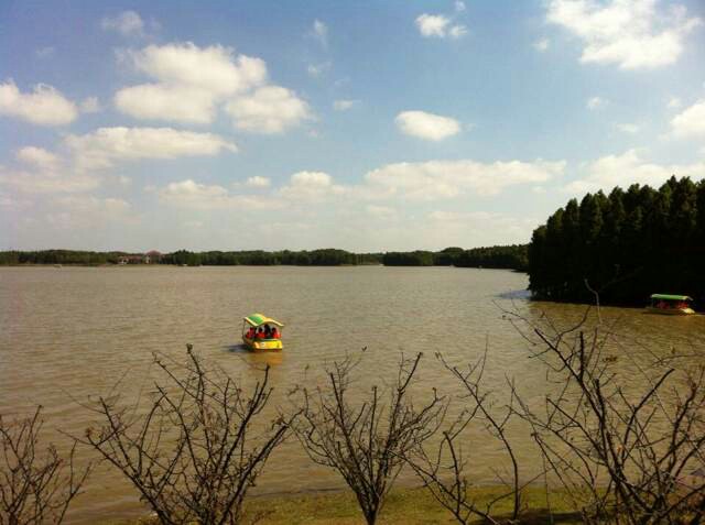 上海海灣國家森林公園