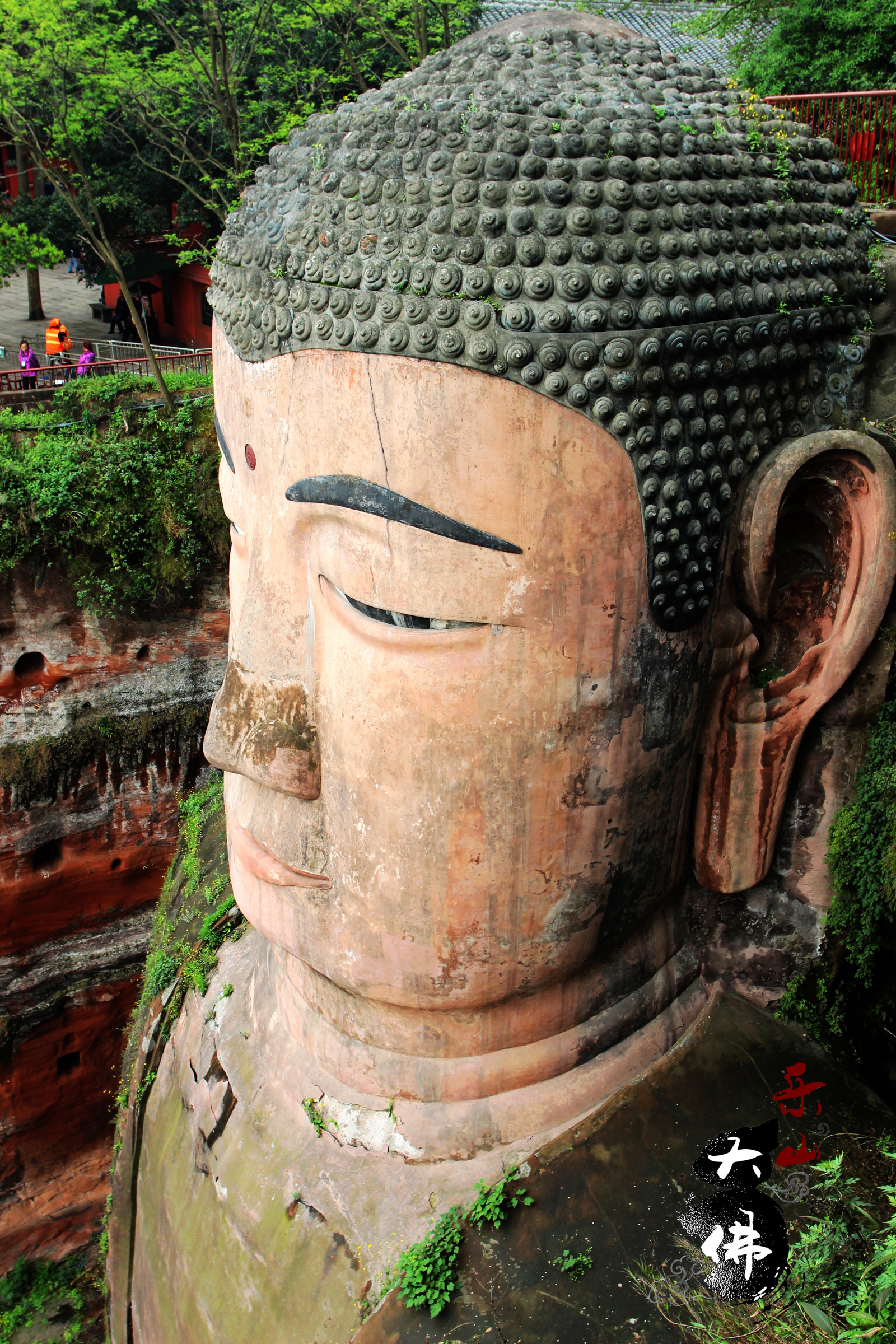 成都到乐山大佛怎么走(成都到乐山大佛怎么走有高铁吗)