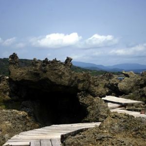 龙坑生态保护区