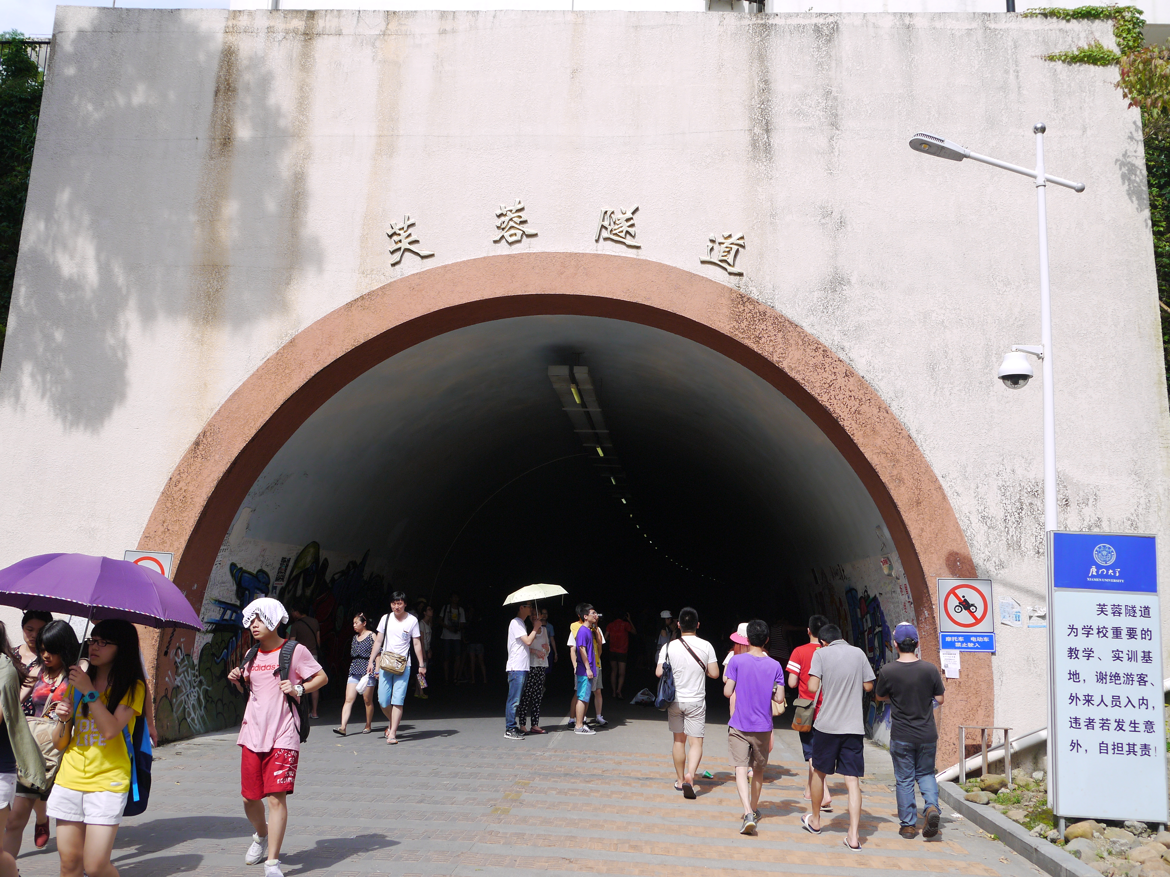 2019芙蓉隧道_旅遊攻略_門票_地址_遊記點評,廈門旅遊景點推薦 - 去