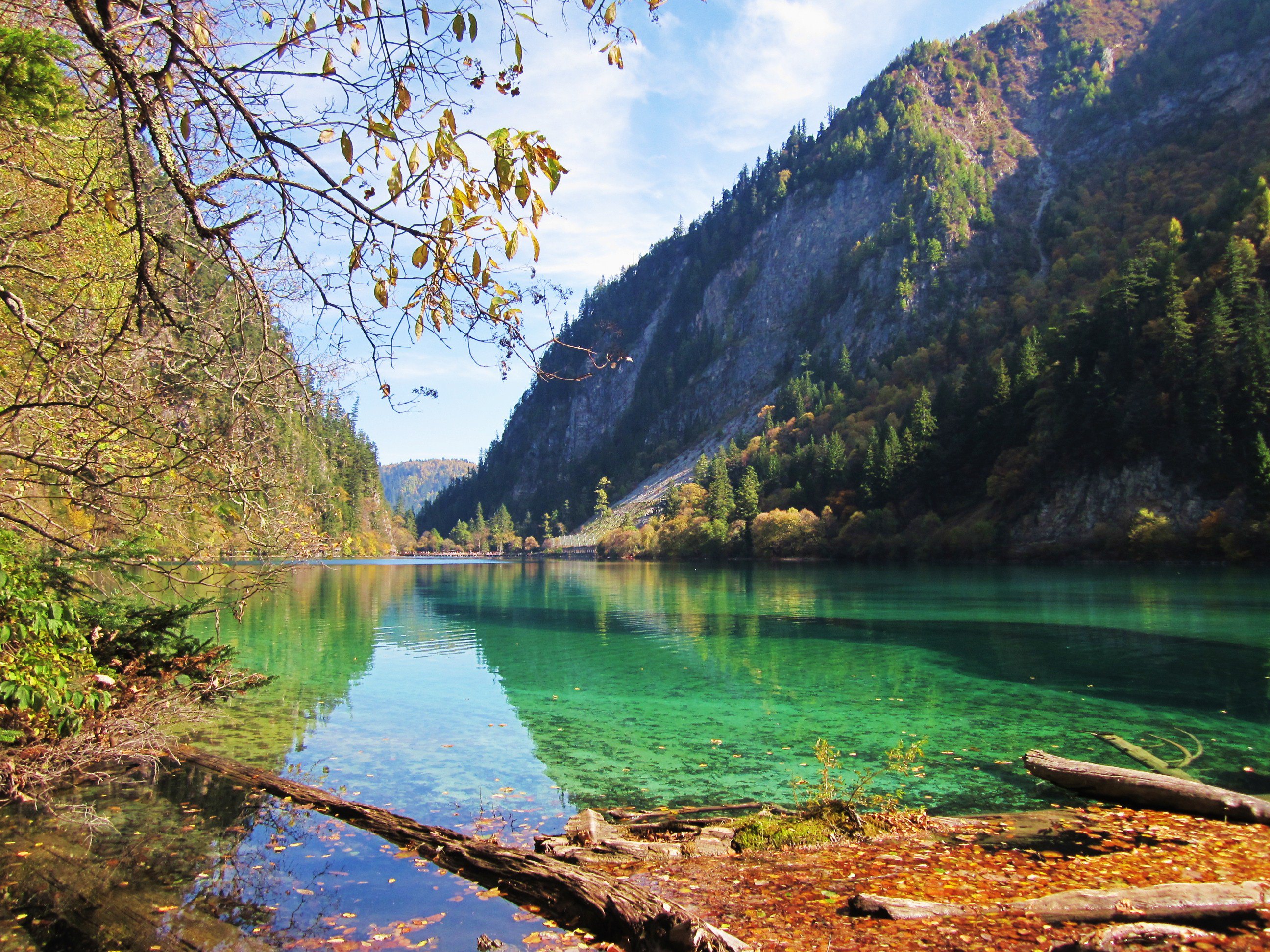 阿坝州九寨沟旅游景点简介,图片,旅游信息推荐-2345旅游