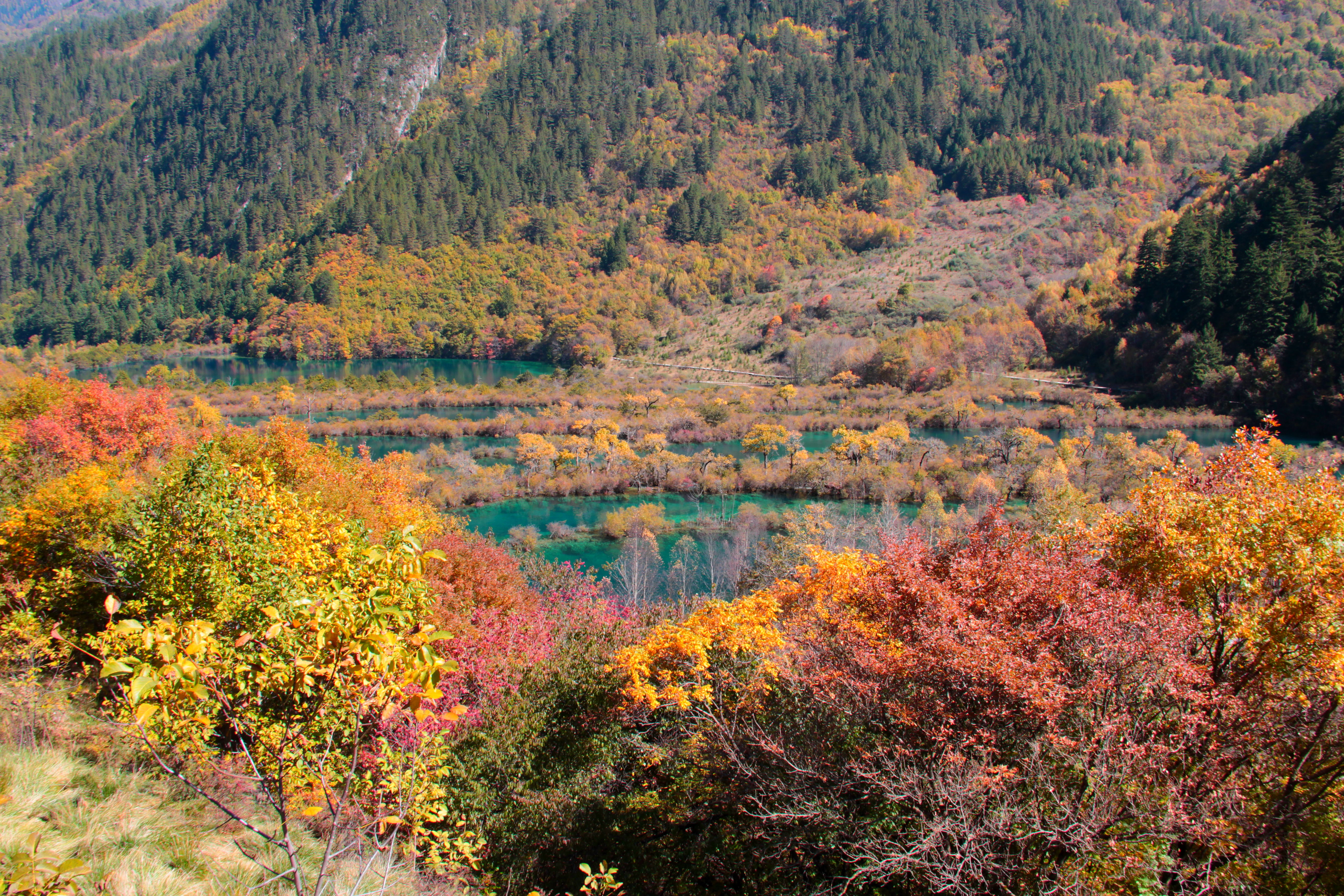 樹正群海旅遊景點攻略圖