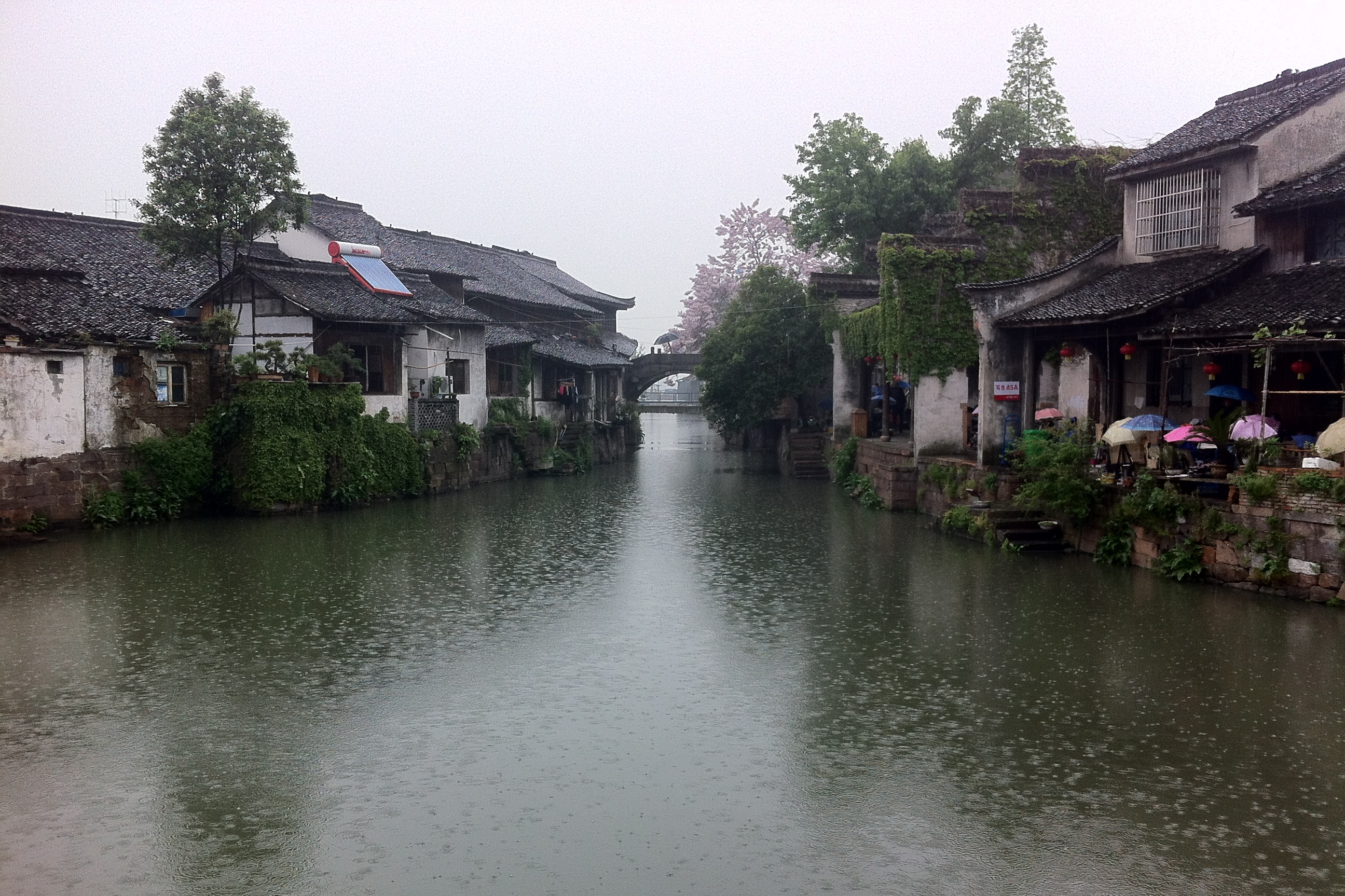 清明時節雨紛紛 江南古鎮最斷魂(2014.4.13--4.20浙江上海遊)