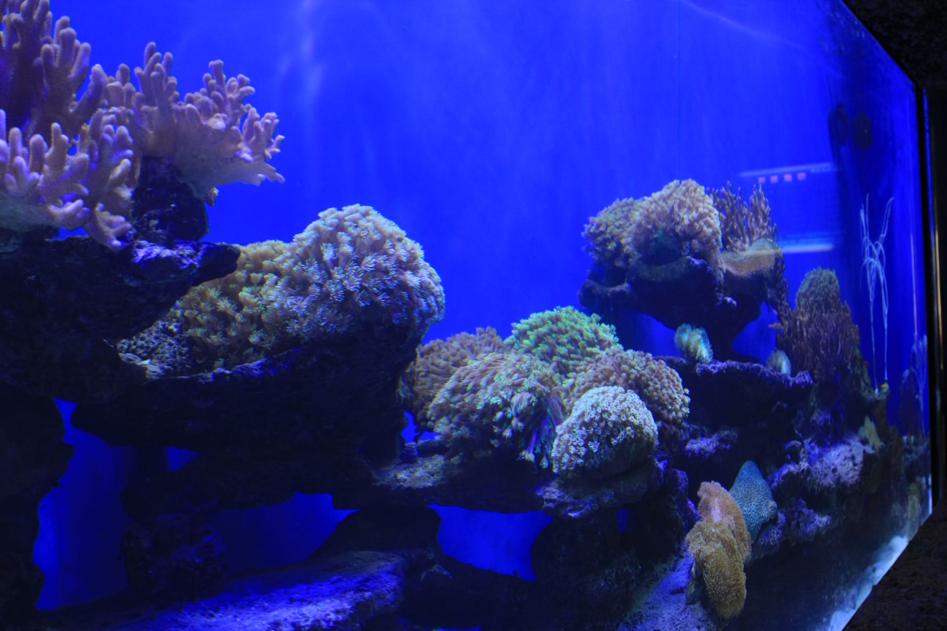 北海海底世界