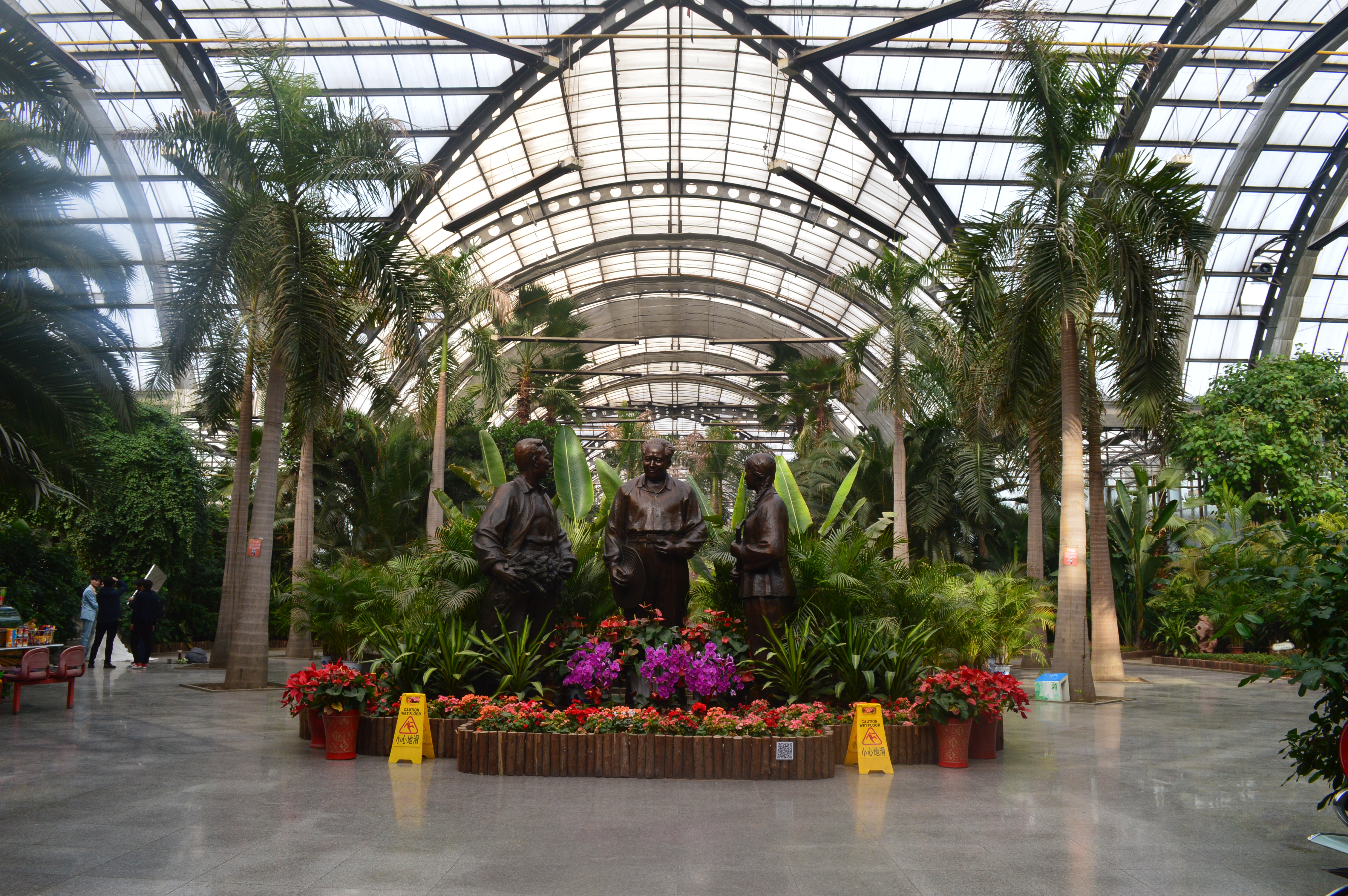 天津热带植物园图片图片