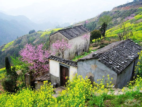 歙县有多少人口_作为一个黄山人 黄山有多少人口你知道吗(2)