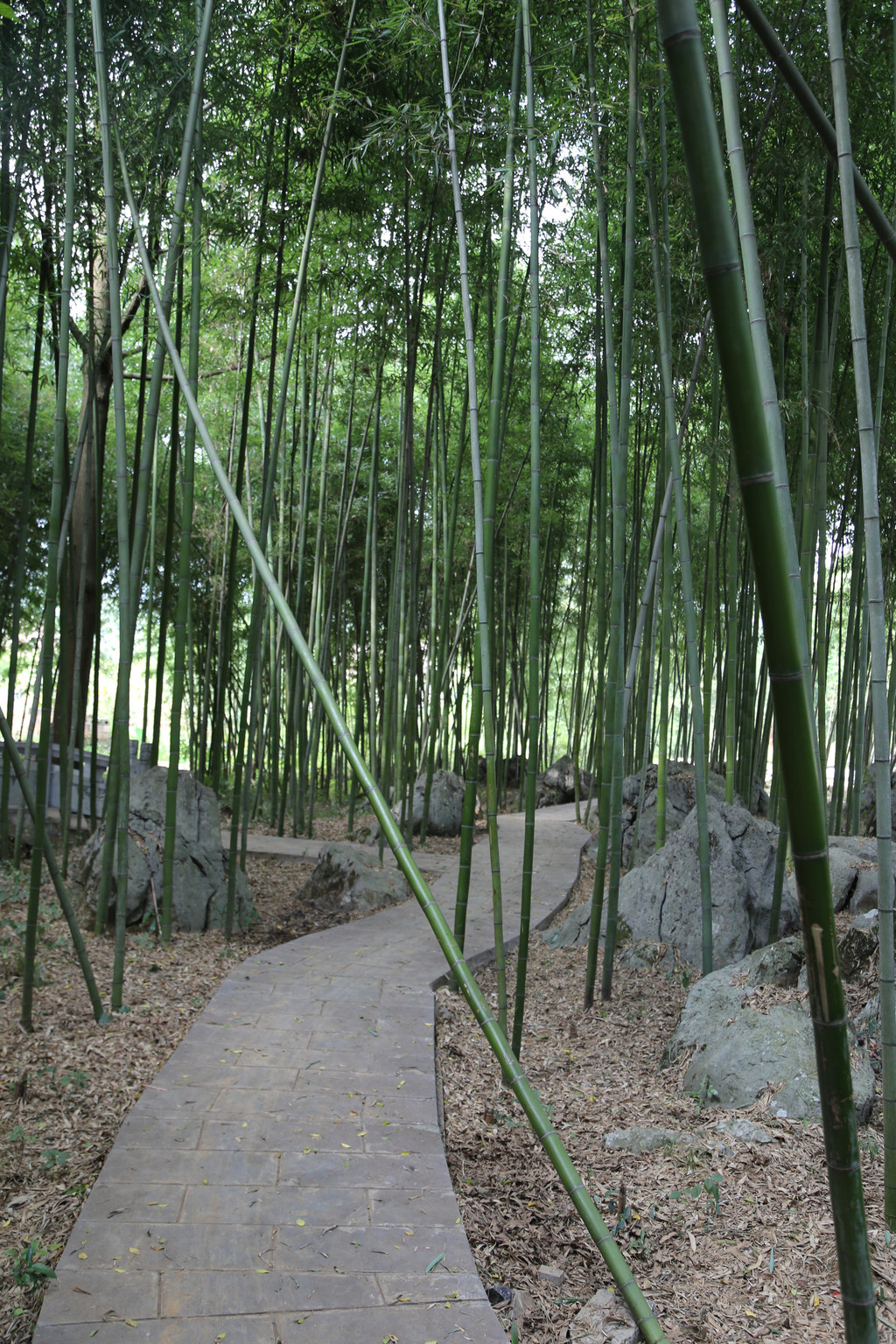 盛夏自驾游广西富川,贺州,阳朔和龙胜