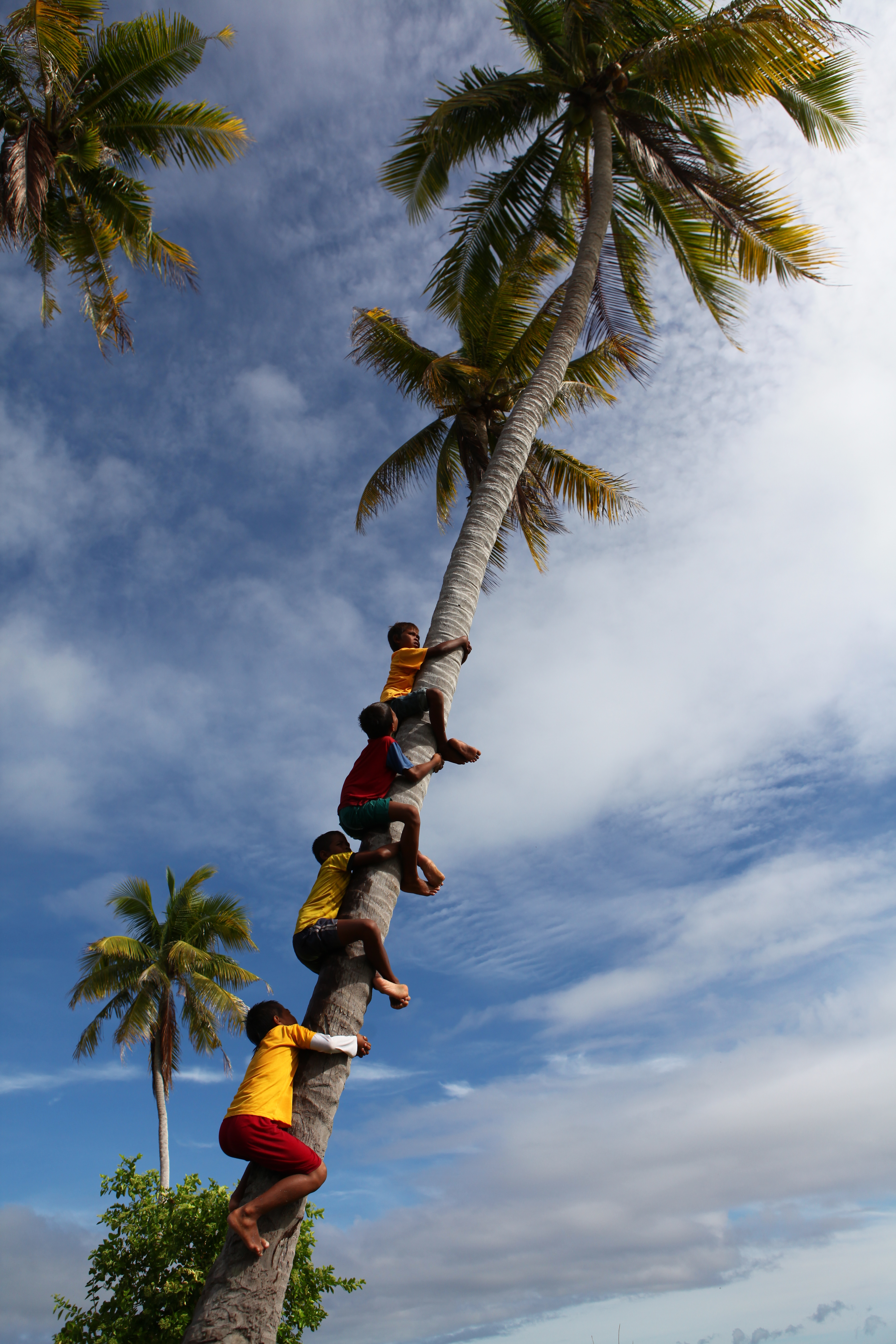 我拍过的南非,新西兰,沙巴,新疆,坝上等
