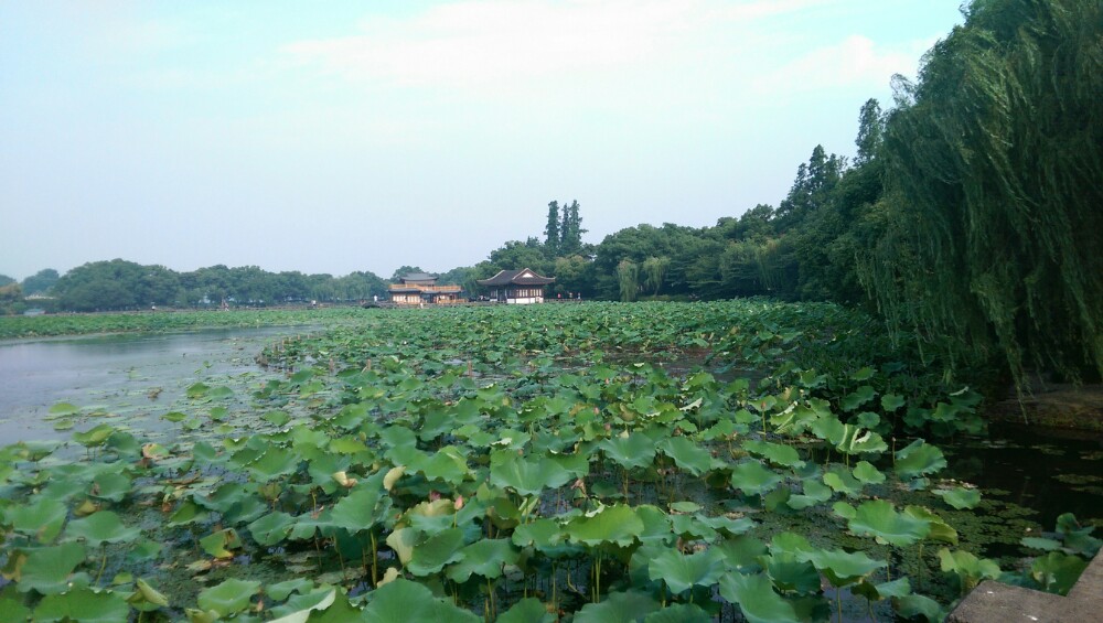 花马寺国家森林公园图片