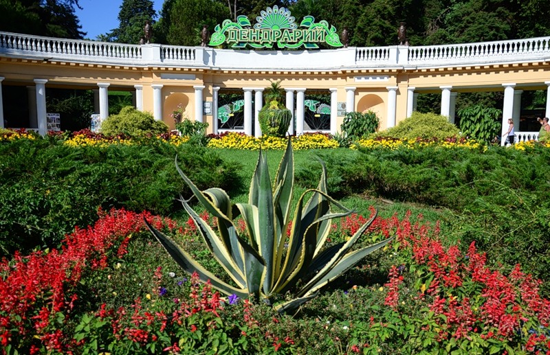 2020索契植物园-旅游攻略-门票-地址-问答-游记点评,索契旅游旅游景点