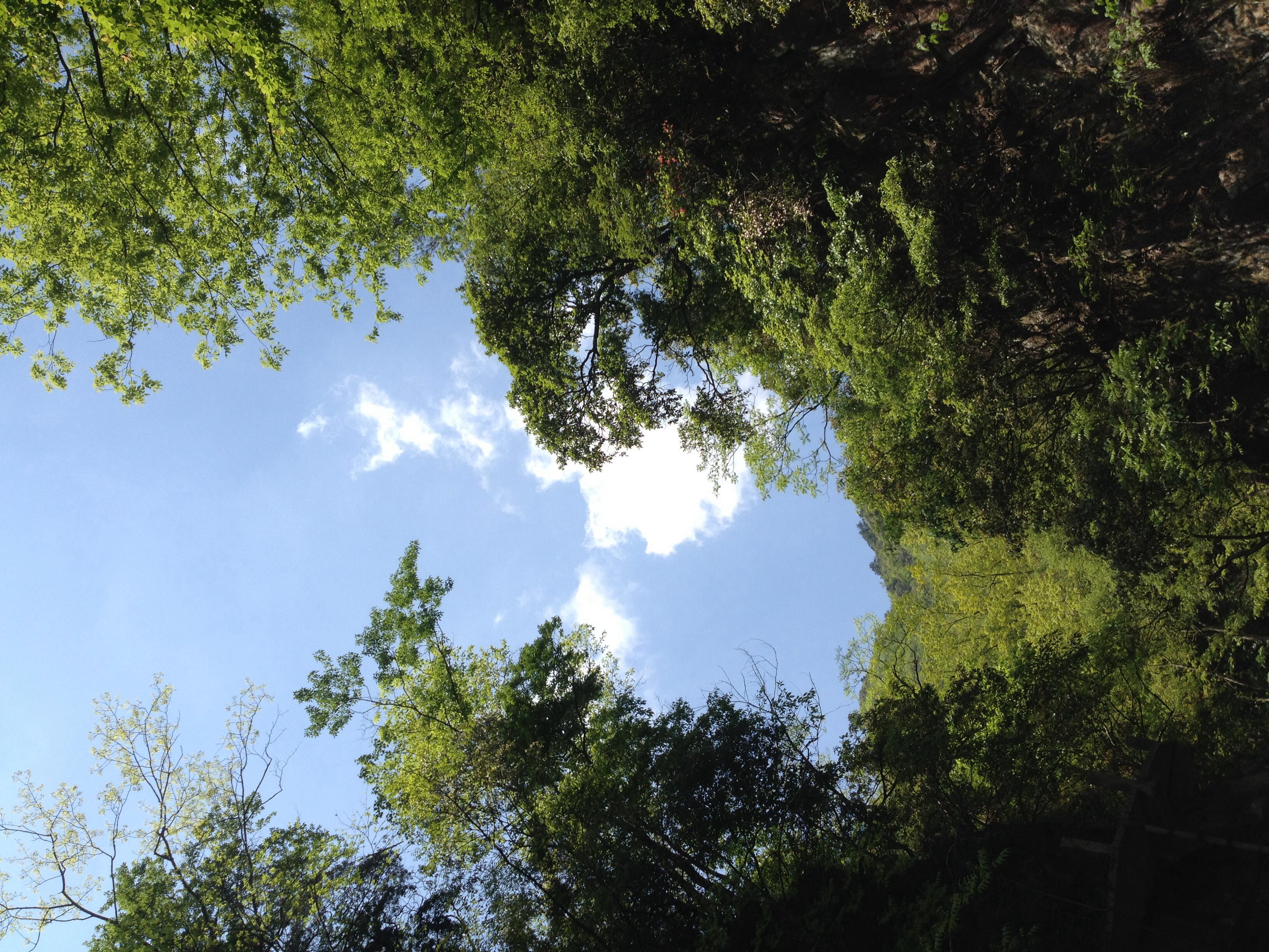 秀山美地休闲农庄