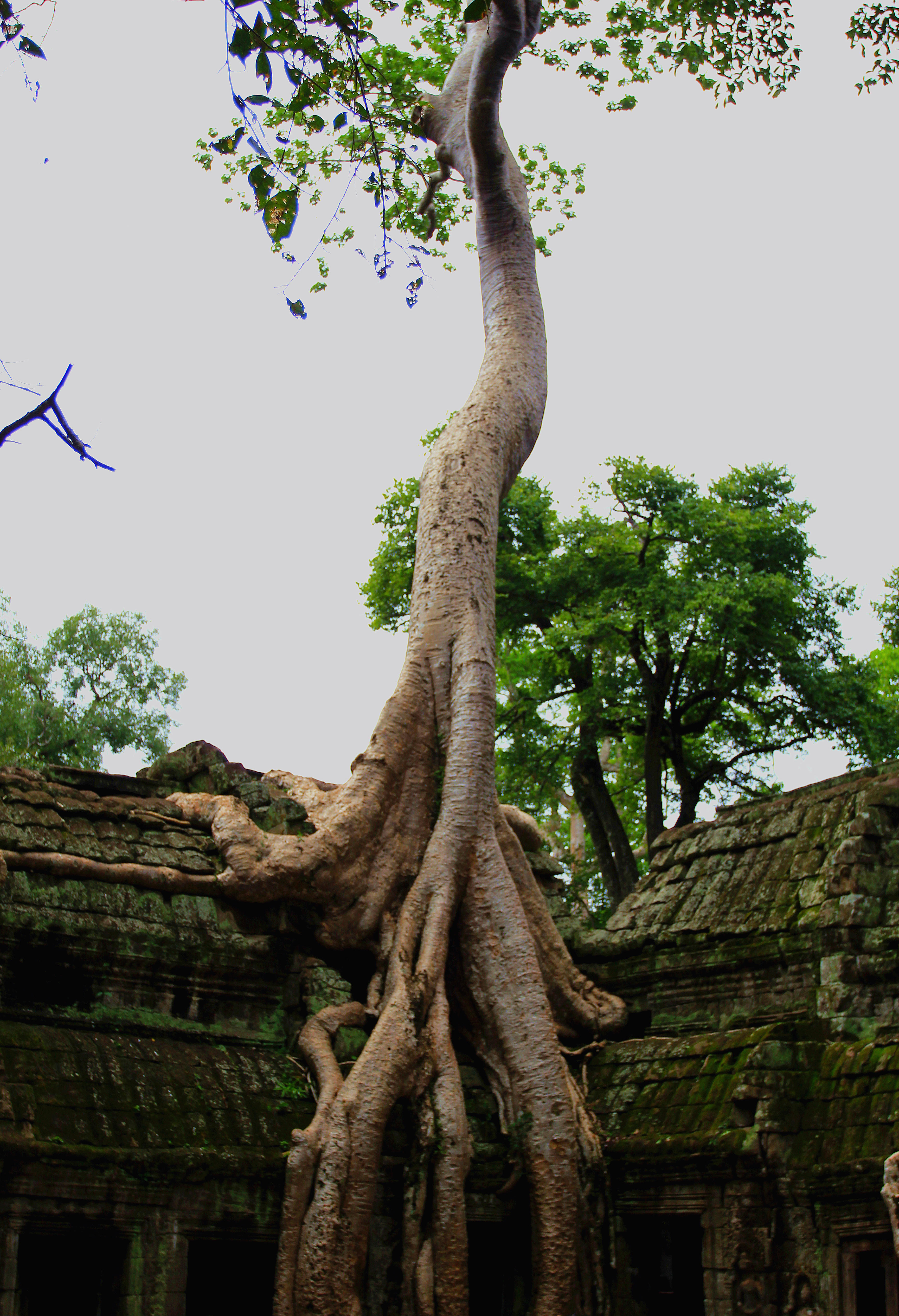 八月盛夏的吴哥