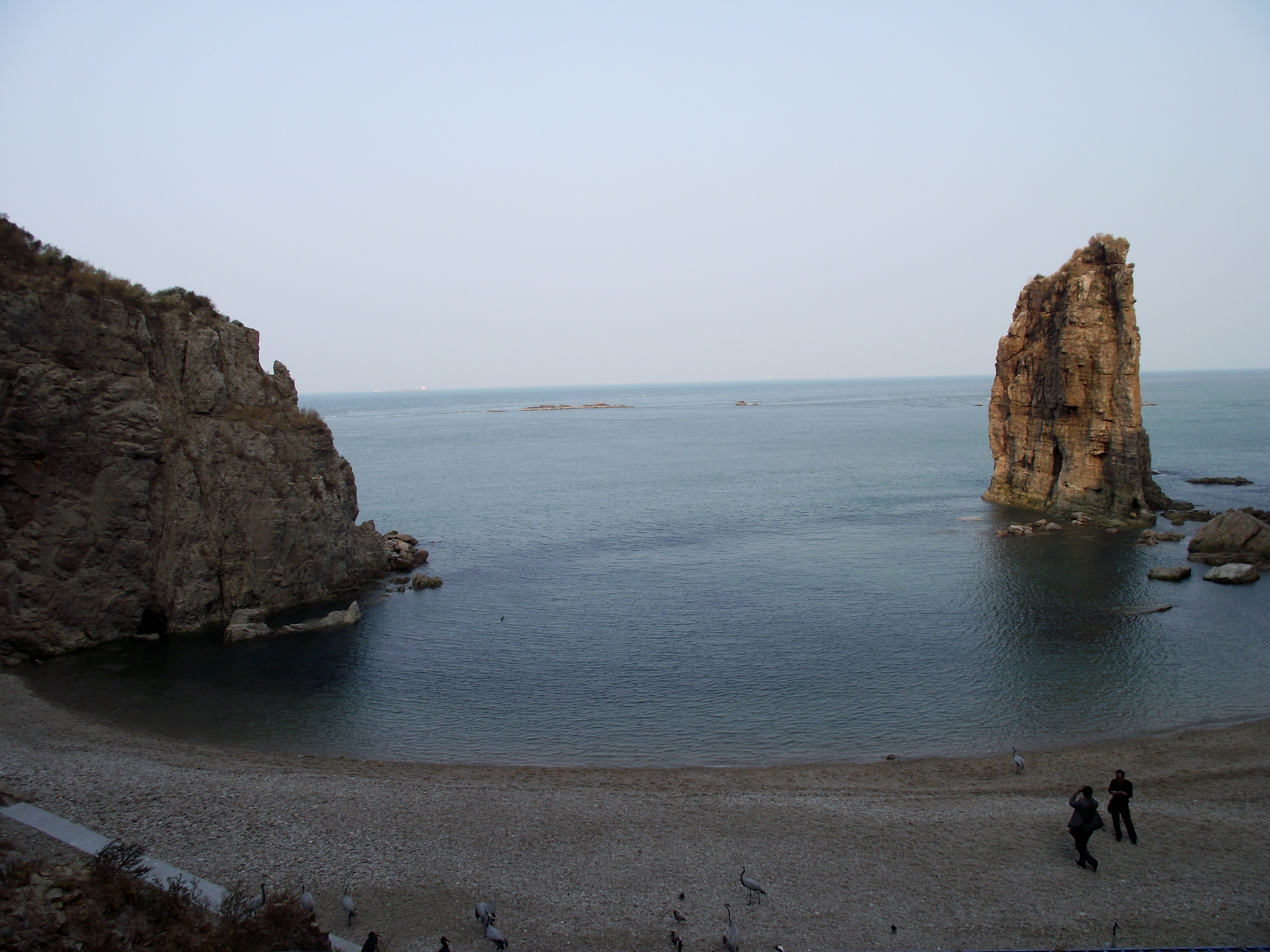 【携程攻略】荣成海驴岛景点,在威海市区再向东的荣成,离神雕山野生