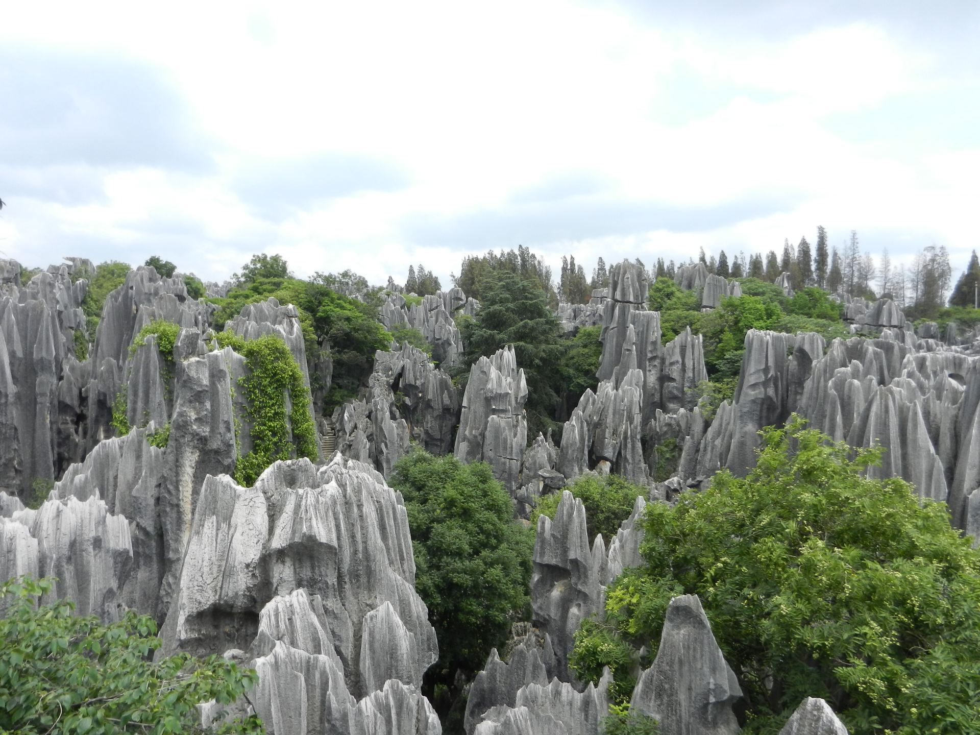 【携程攻略】石林石林适合商务旅行旅游吗,石林商务旅行景点推荐/点评