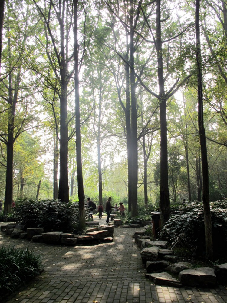 南京清涼山公園的秋色