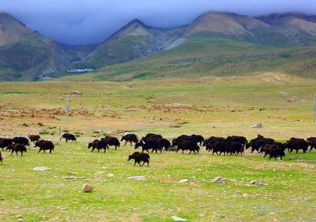 羌塘国家级自然保护区