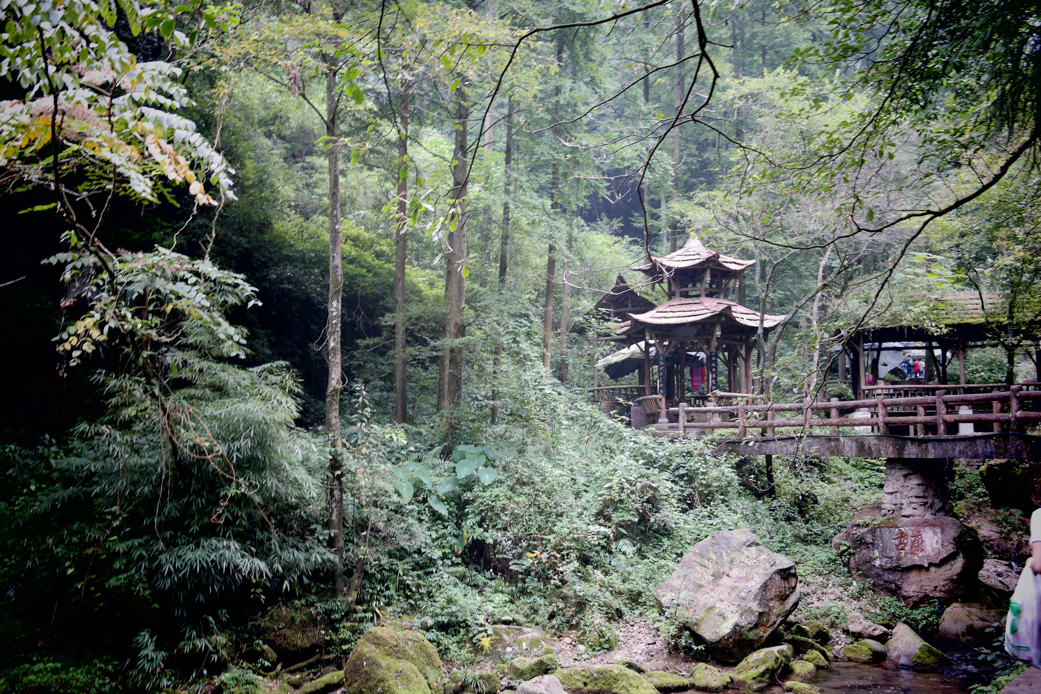 都江堰 青城山 九寨溝-寫意山水行