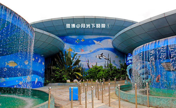 电梯下行就是深海探奇(ps:馆内很小的,不过里面有《深海探奇》环形
