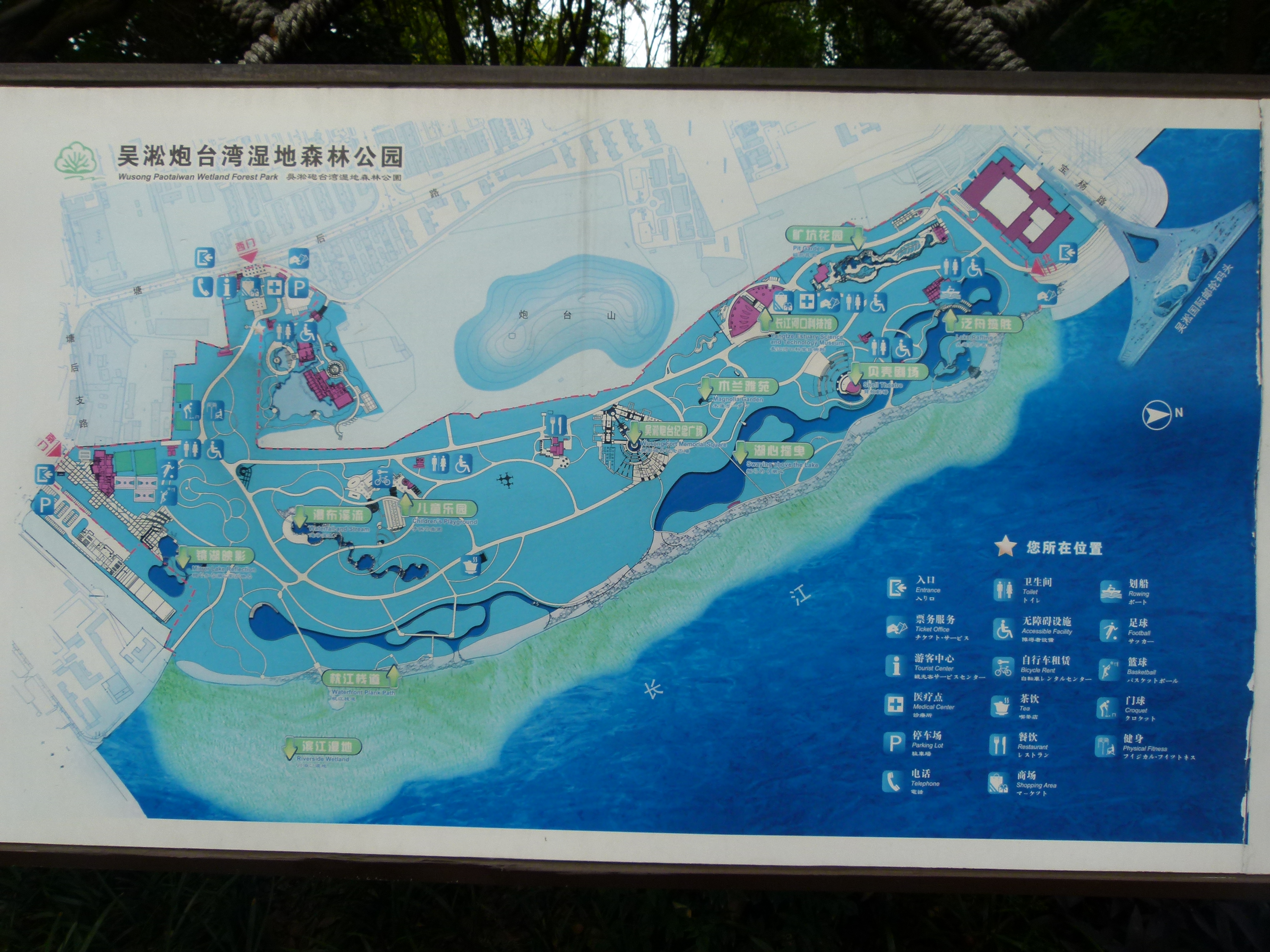 初秋的悠闲-上海吴淞炮台湾湿地森林公园