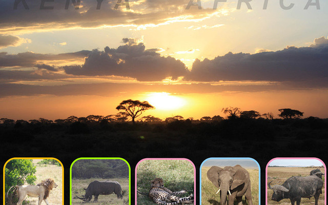 遥远的肯尼亚，难说再见，2大1小首次safari
