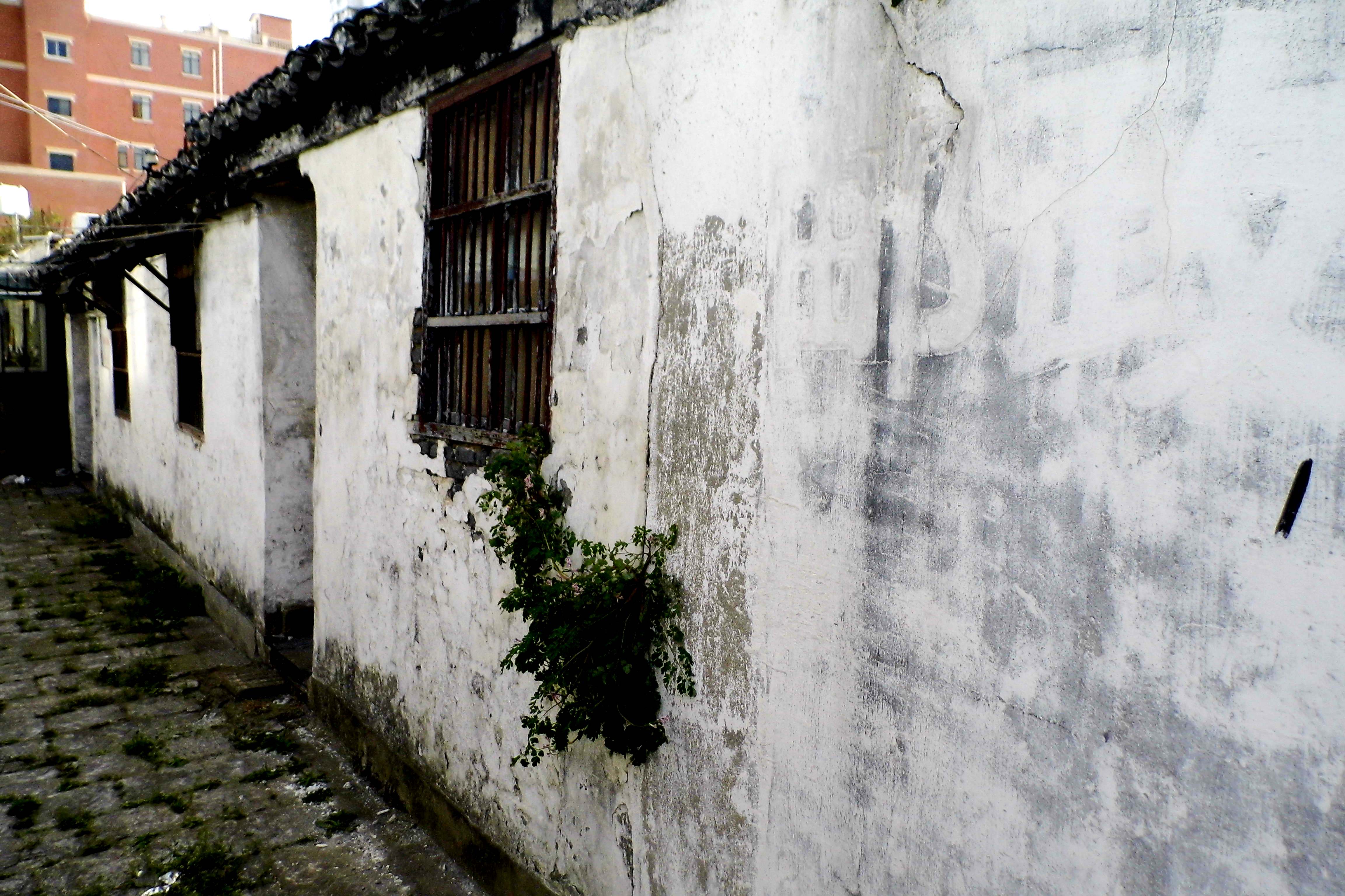 【江苏 南通】寺街,还在