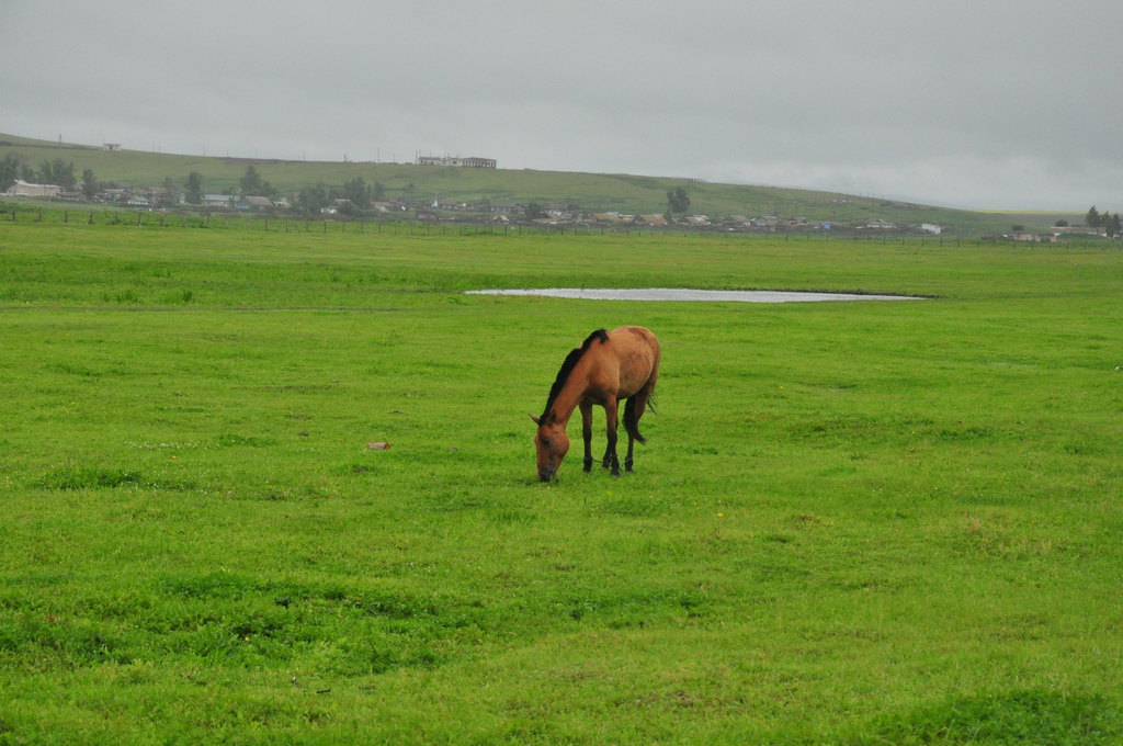 内蒙古游记之额尔古纳室韦