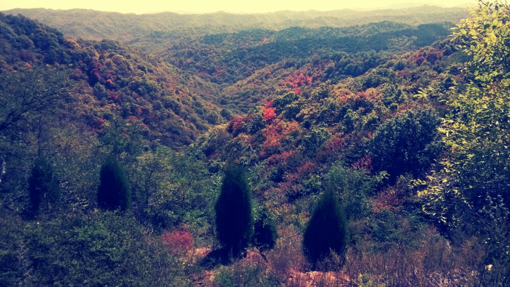 石门山的红叶