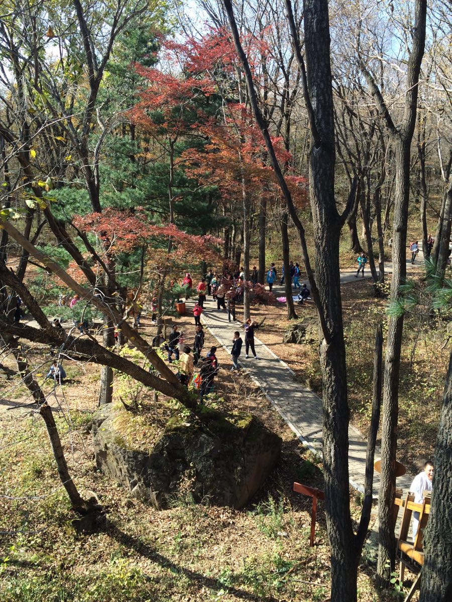 金龍山國家森林公園