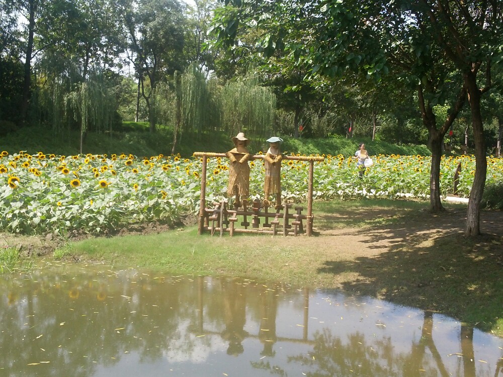 圩墩遺址公園weidun park