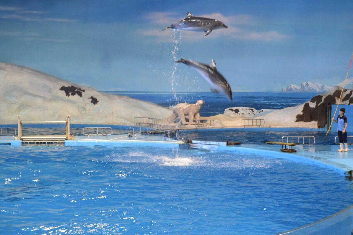 青岛海昌极地海洋公园