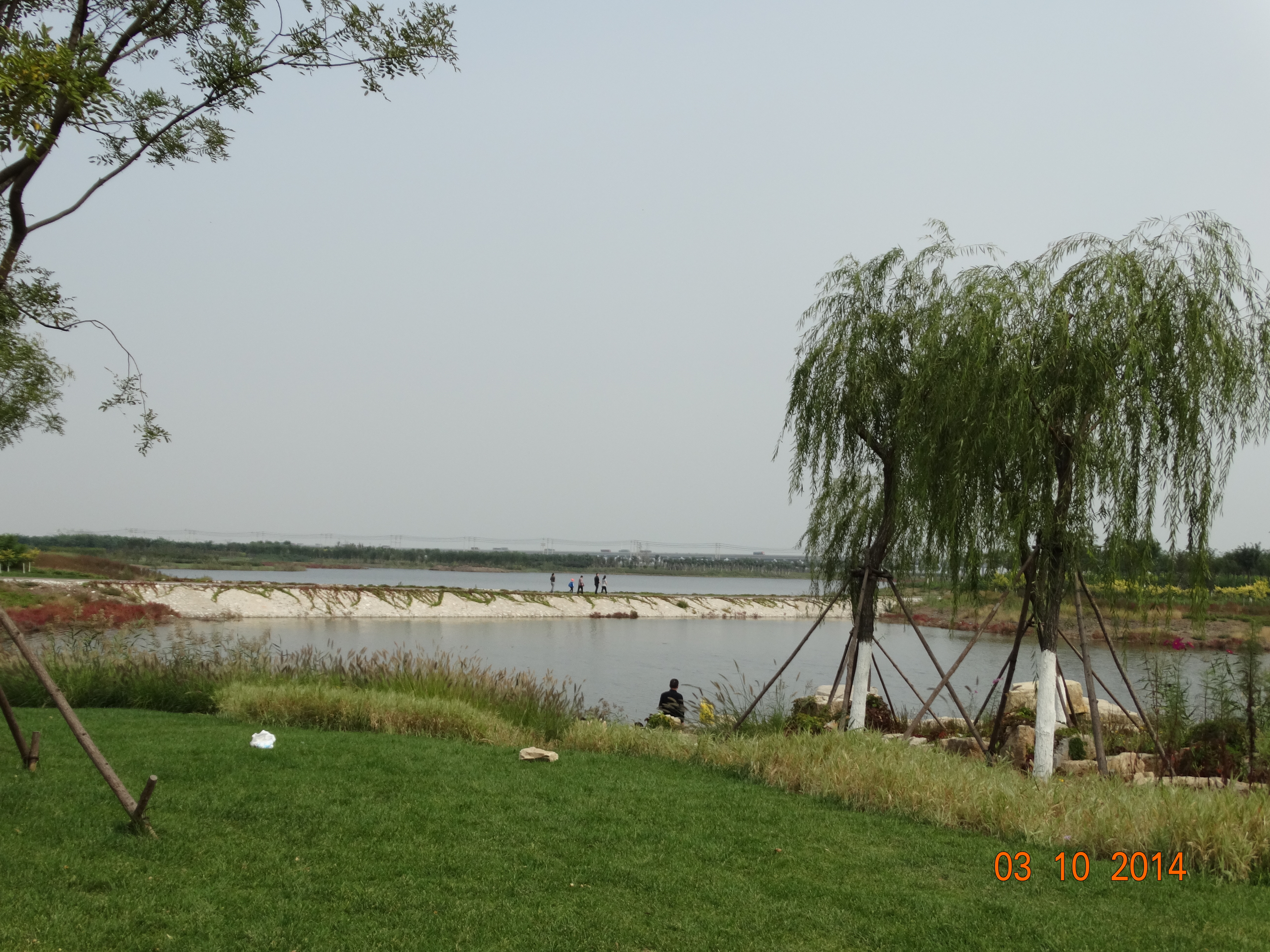 天津贝壳堤湿地公园图片