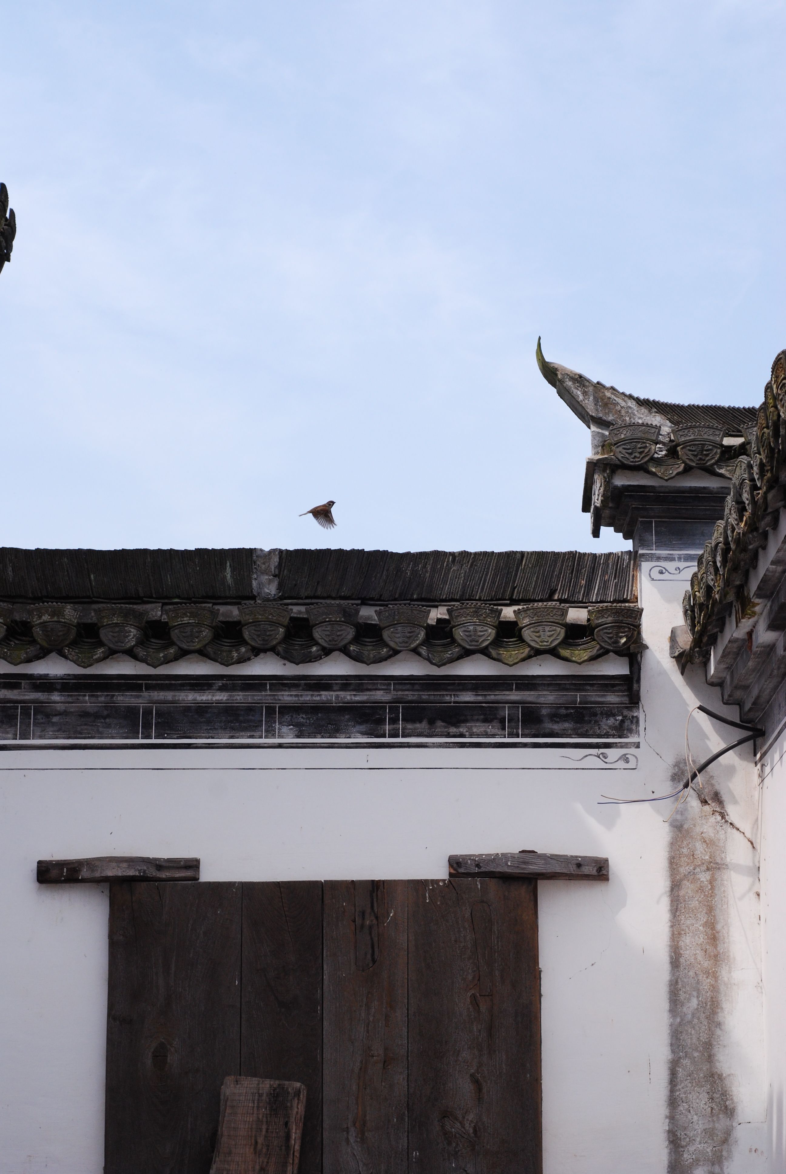 齊雲山 徽派建築與油菜花