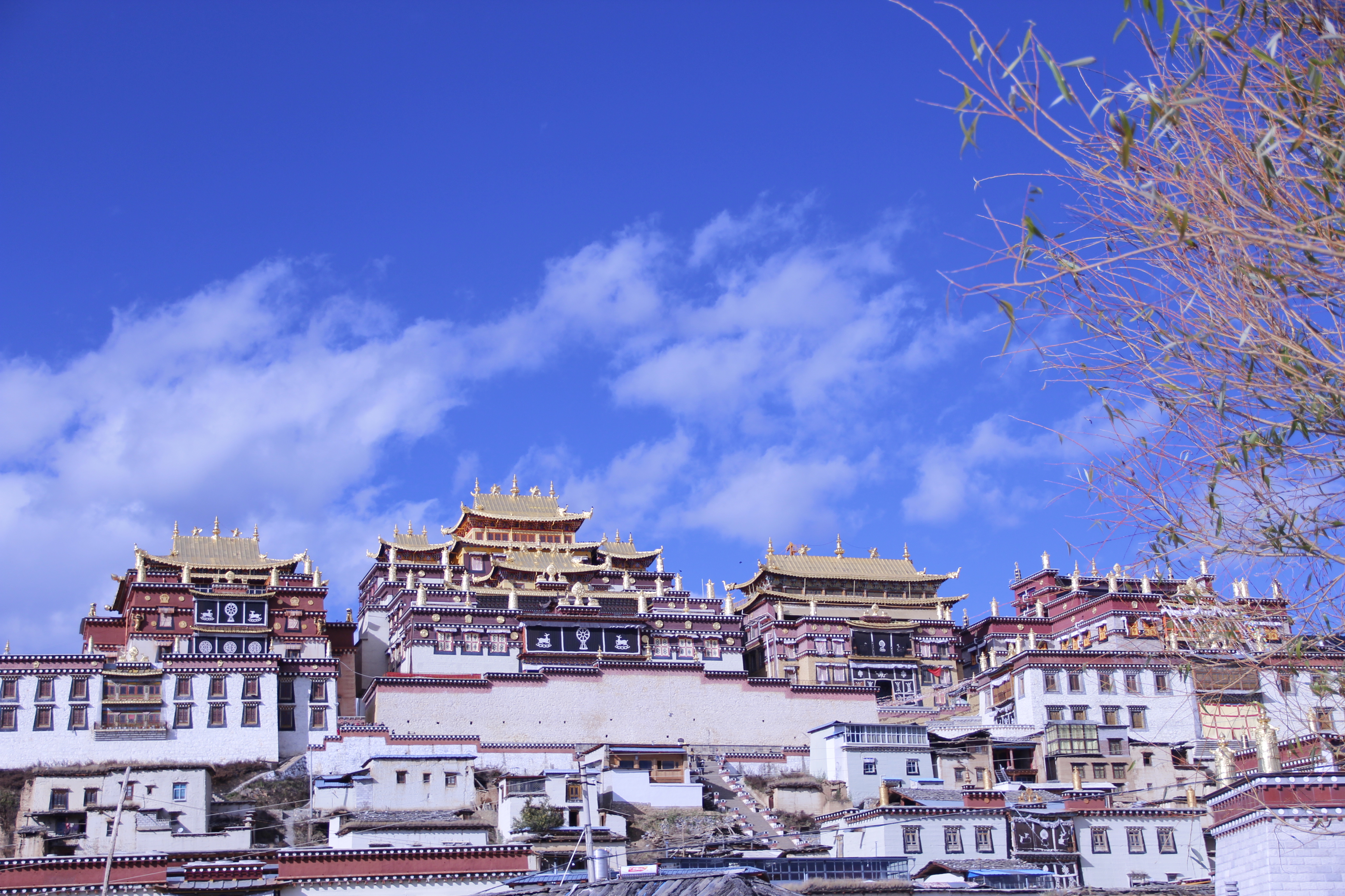 来云南,遇见真实的自己 - 香格里拉游记攻略【携程攻略】