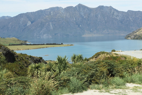 这是自由的感觉:新西兰南岛十一日自驾行