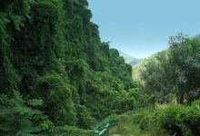 香炉峰在哪个地方 d8bc8d3a65cd436b9f927906f18d55ba_D_220_150.jpg?v=20181108_20_28