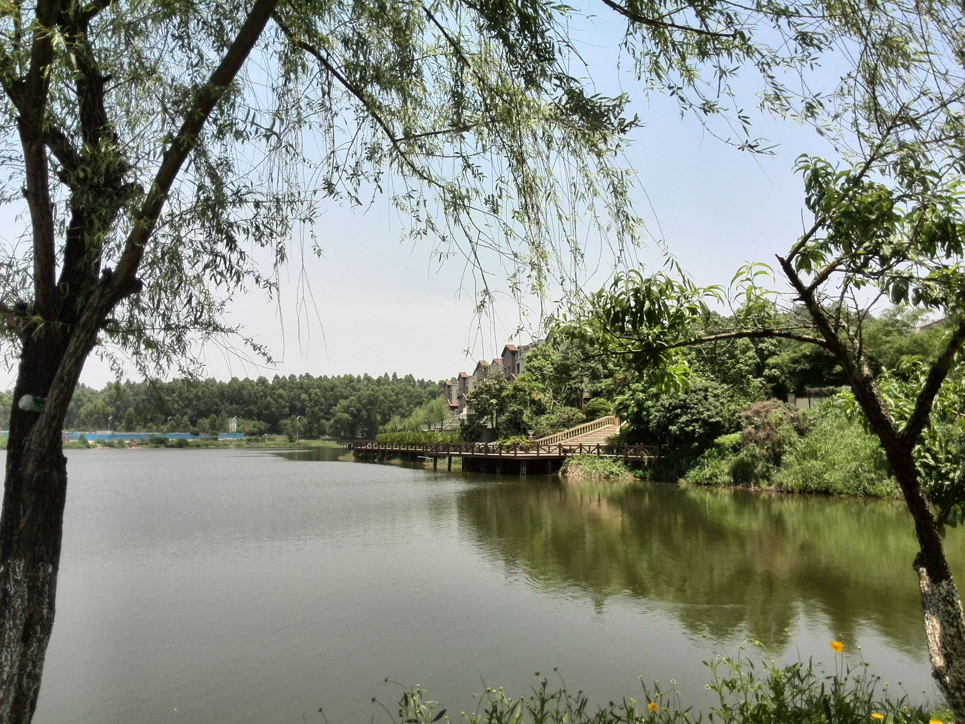 带著爸妈去旅行之松山湖百花洲一日游