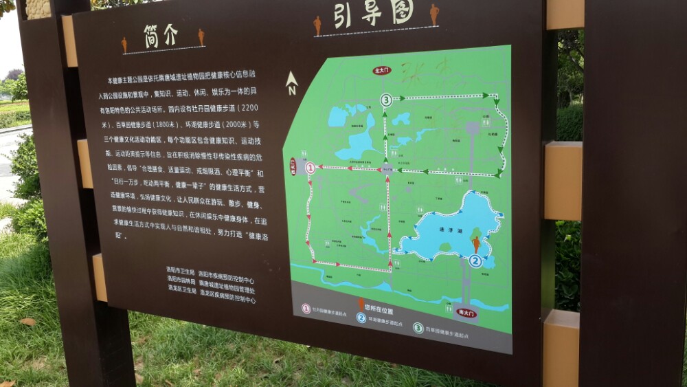 洛阳隋唐牡丹公园!