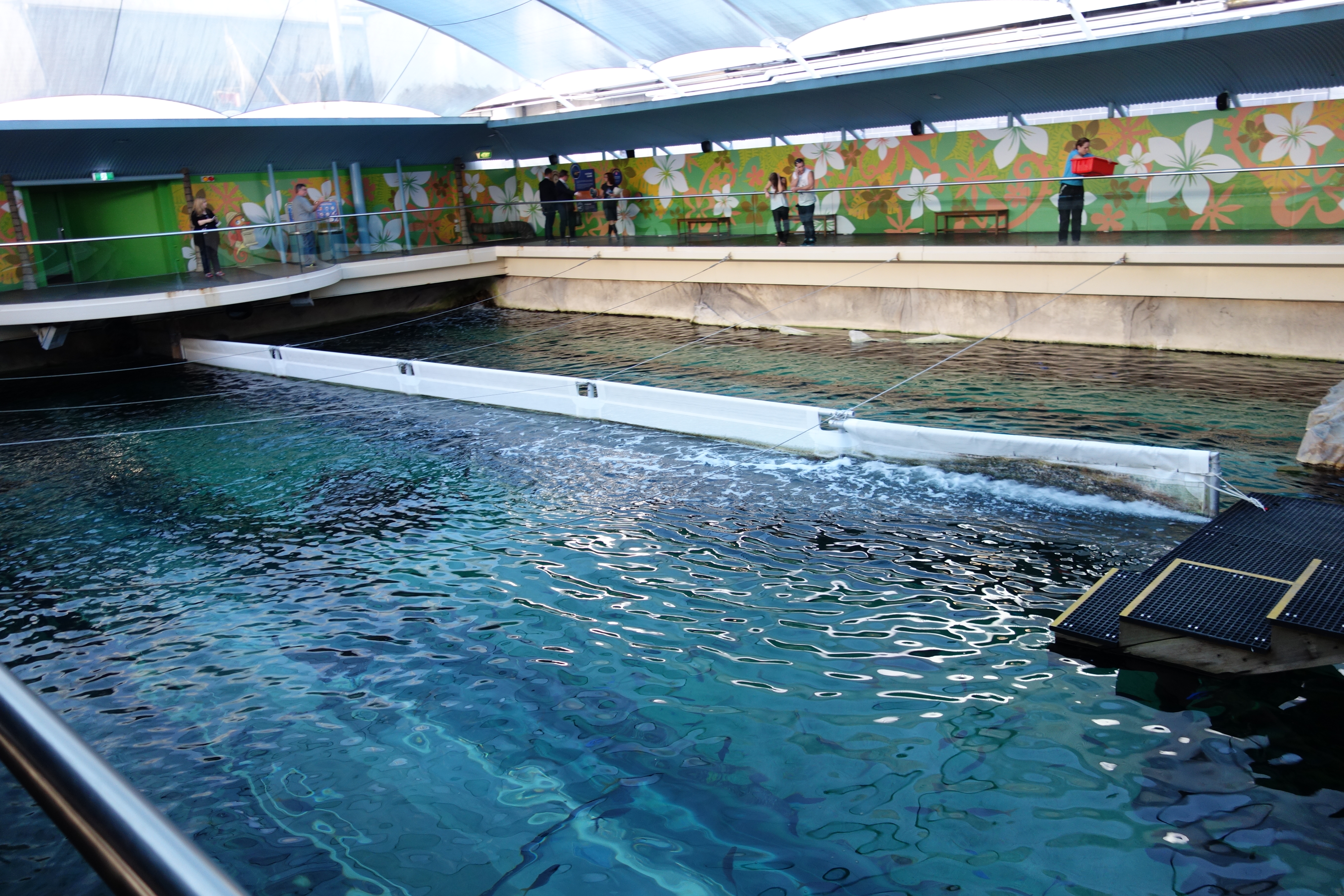  這個水族館很有