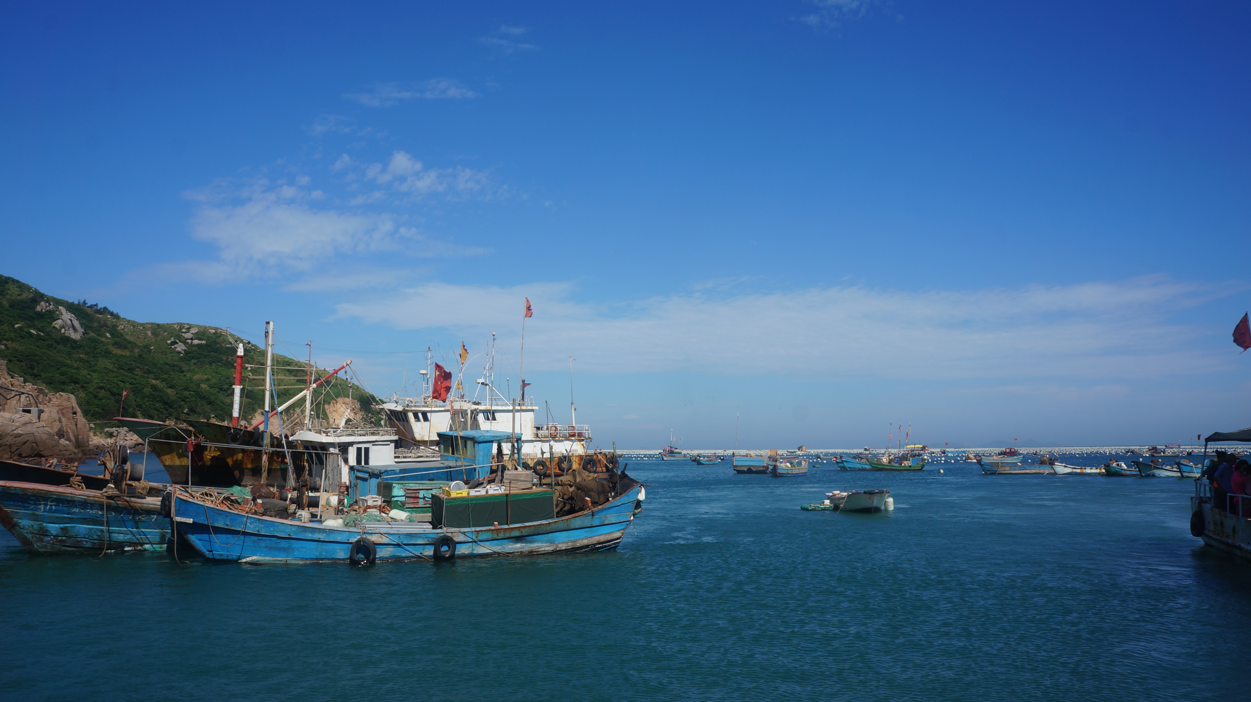 给你一个真正的蓝色枸杞