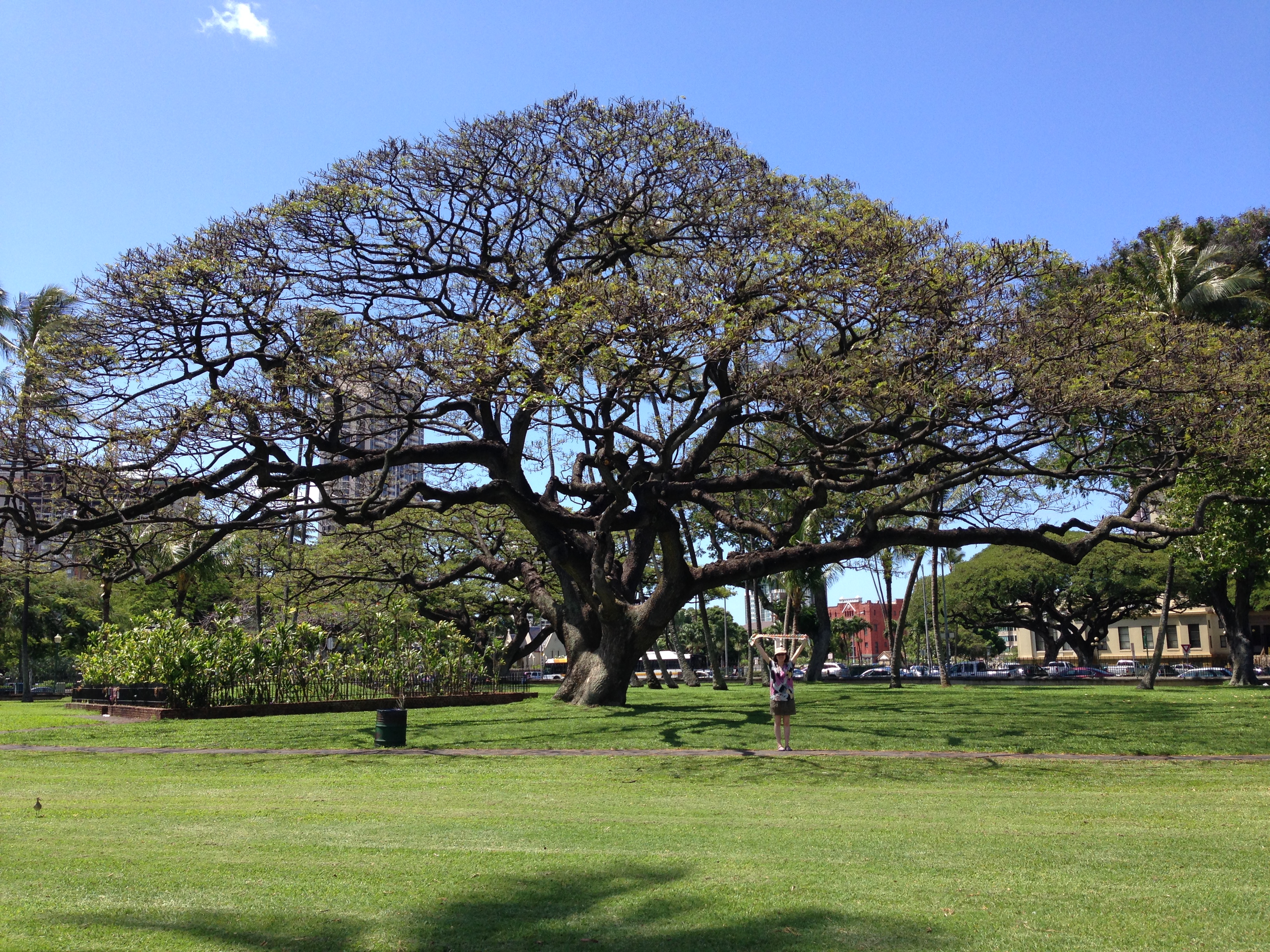 夏威夷自驾7日游