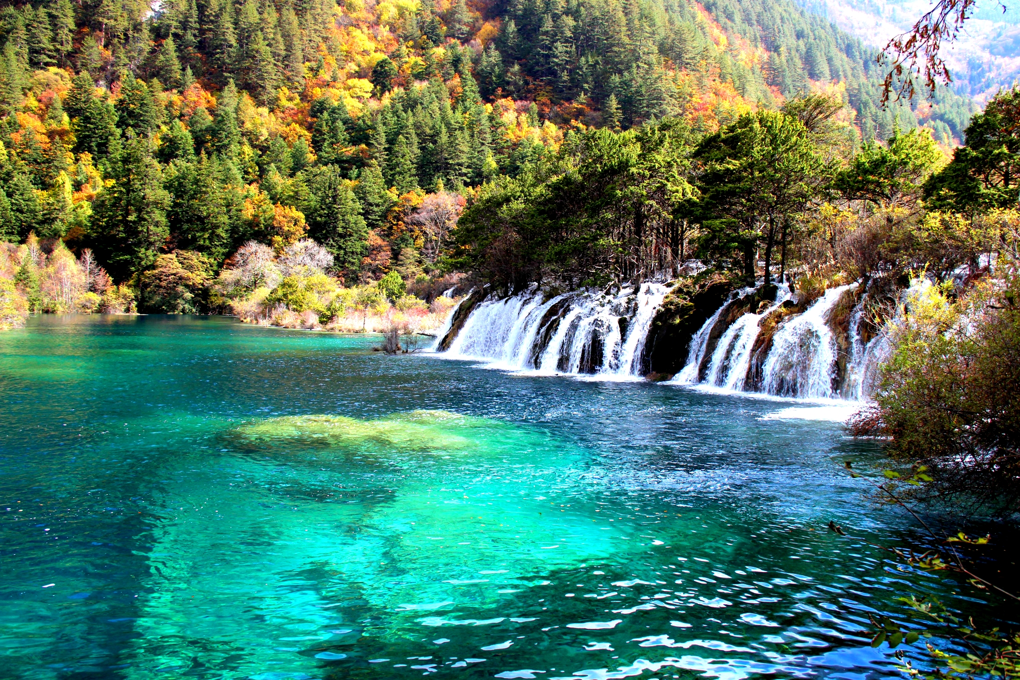 五彩斑斓九寨游(二)