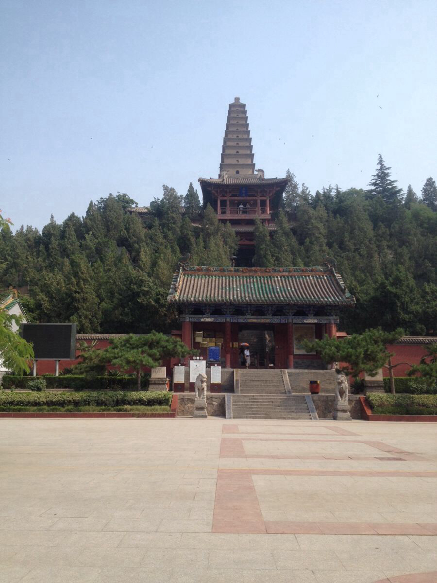 合陽黃河溼地,運城普救寺,五老峰三日自駕遊