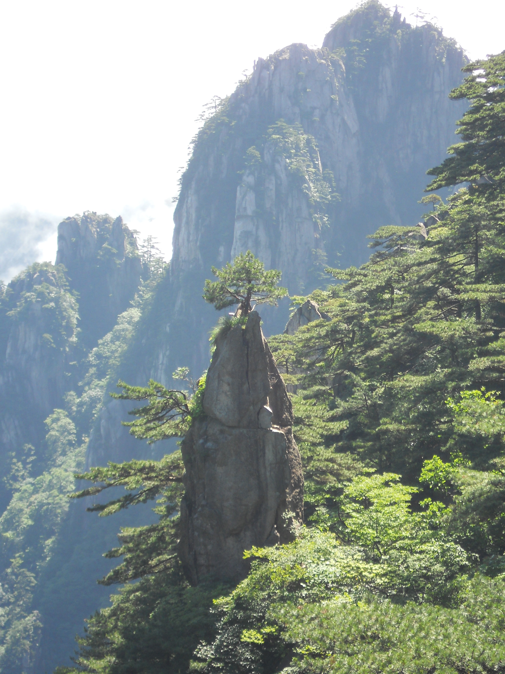 黃山,太美了!